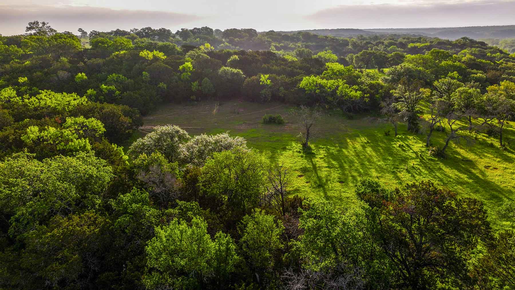 Texas River Ranch property picture 12 of 84