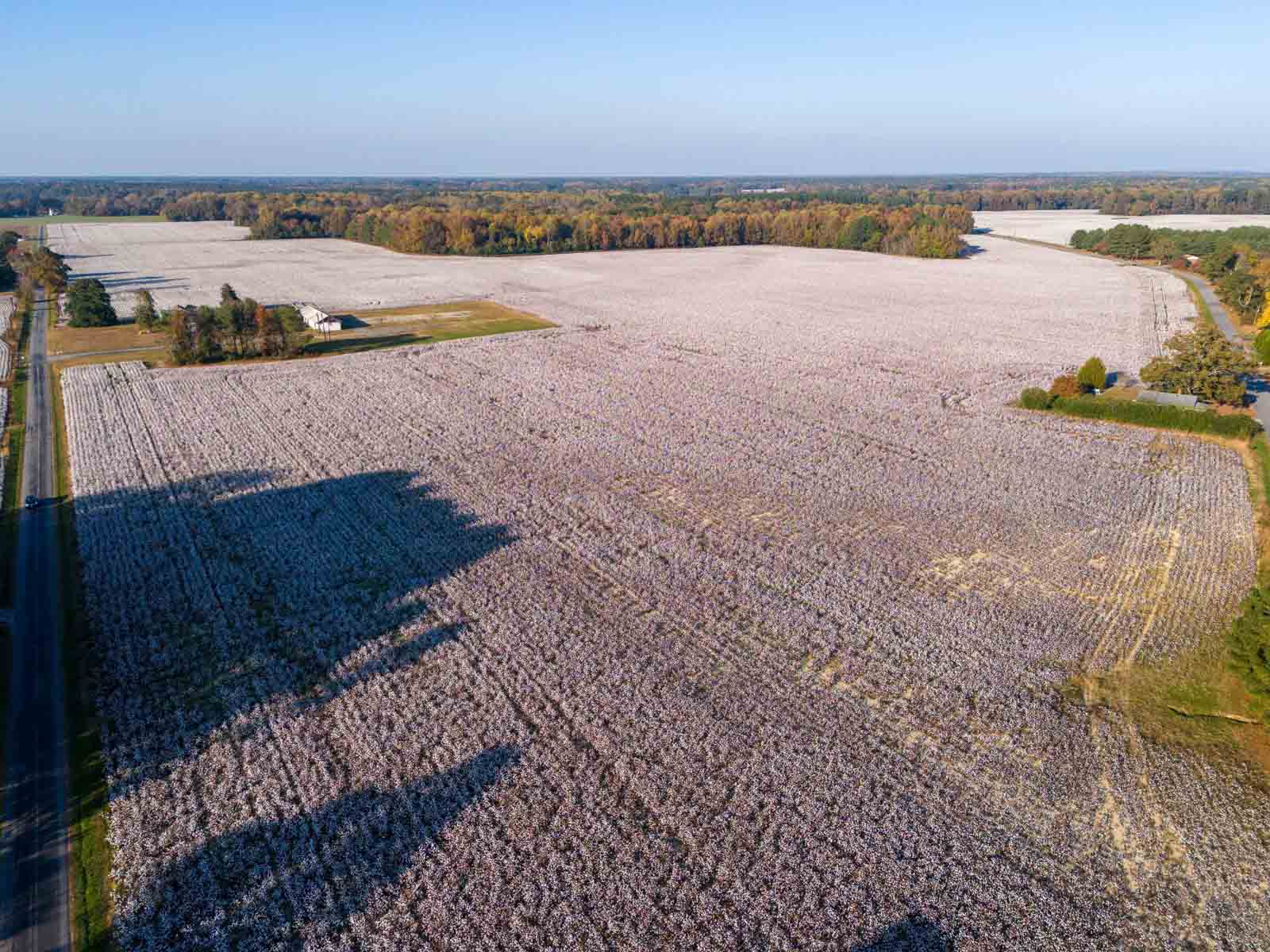 Cotton Rose Farm - Tract 5 property picture 5 of 12