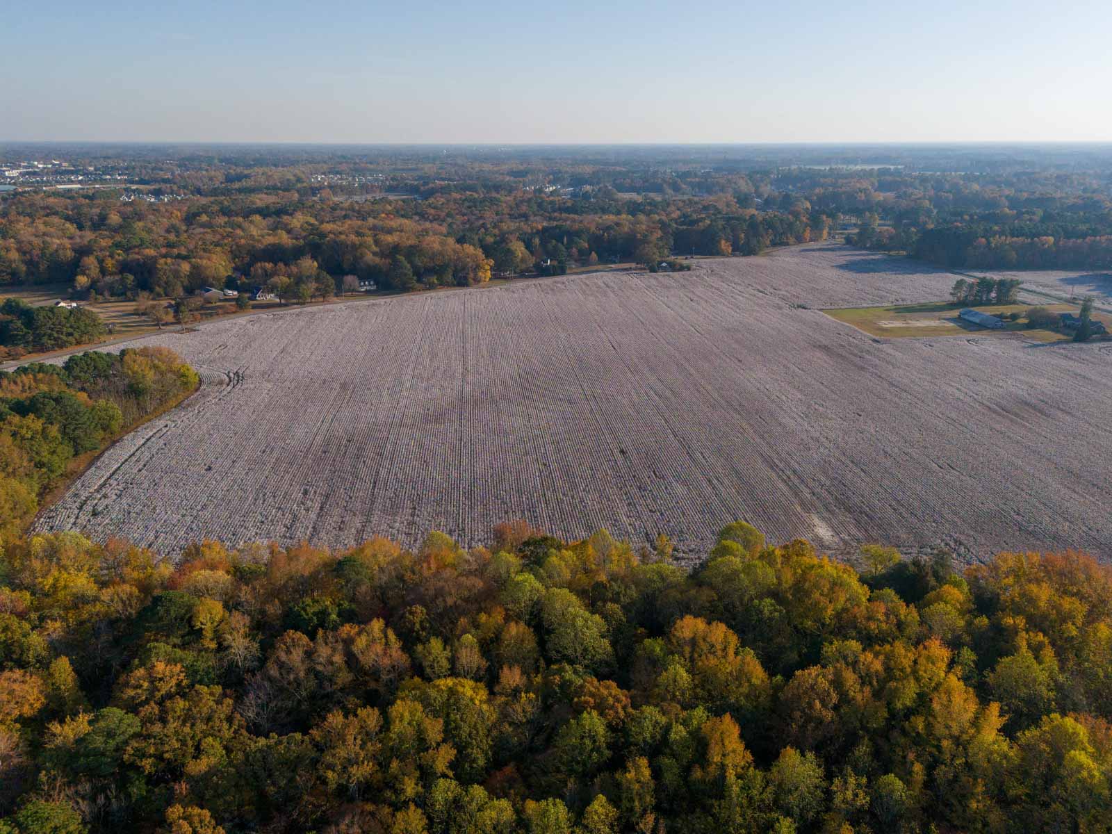 Cotton Rose Farm - Tract 5 property picture 6 of 12