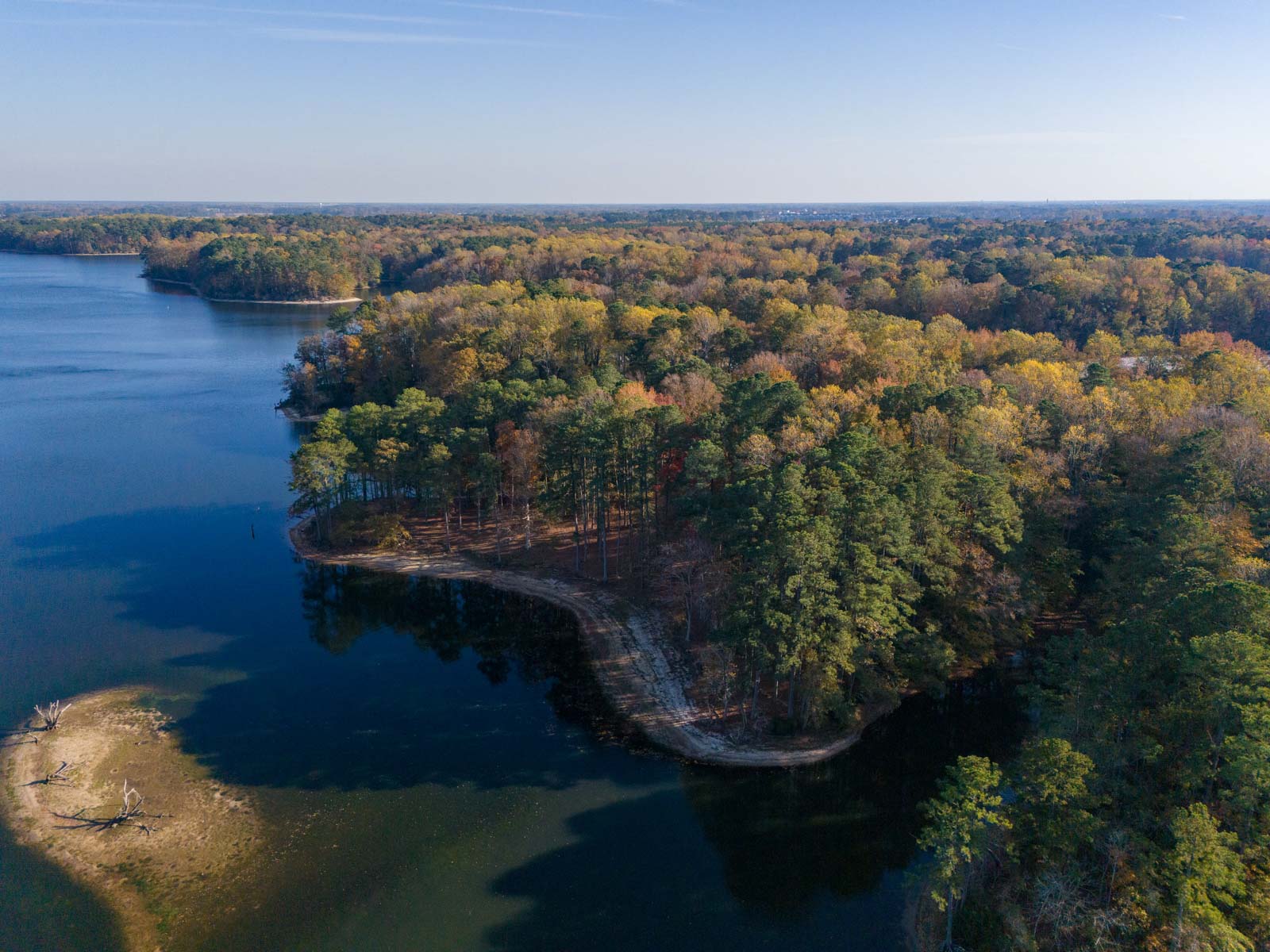 Cotton Rose Farm - Tract 1 property picture 66 of 69