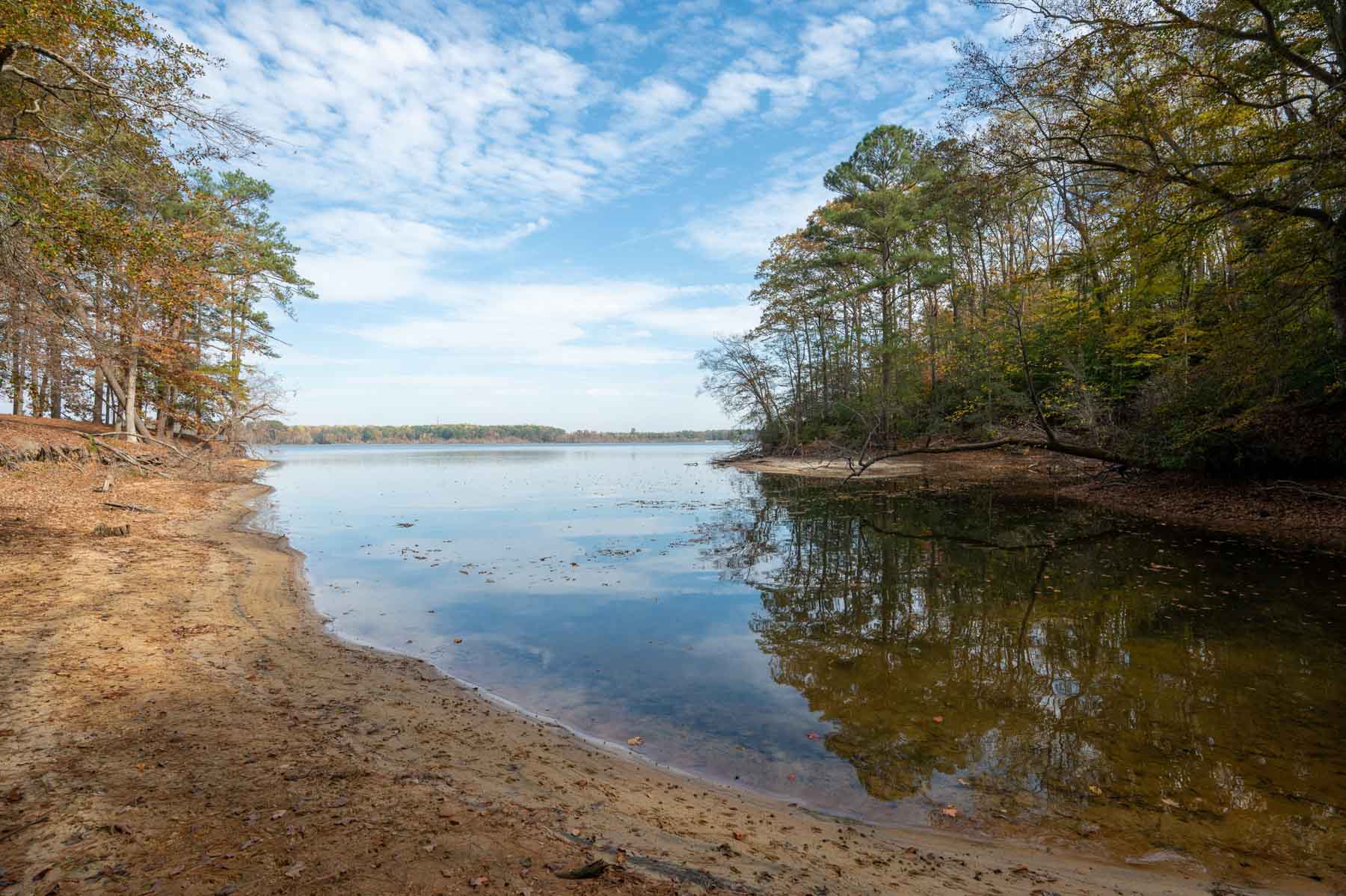 Cotton Rose Farm - Tract 1 property picture 56 of 69