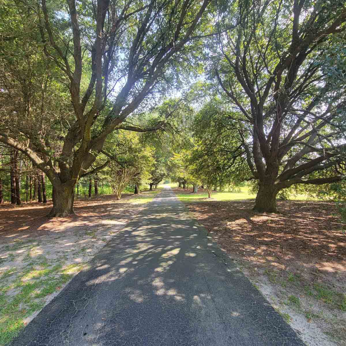 Cotton Rose Farm - Tract 1 property picture 7 of 69