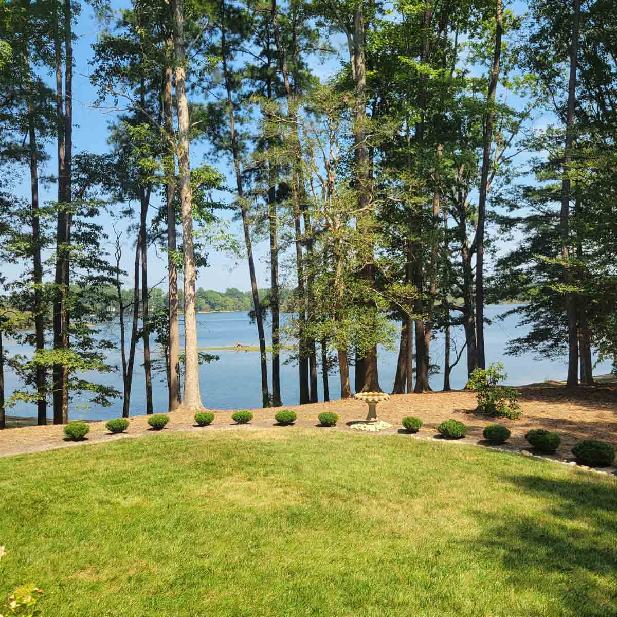 Cotton Rose Farm - Tract 1 property picture 8 of 69