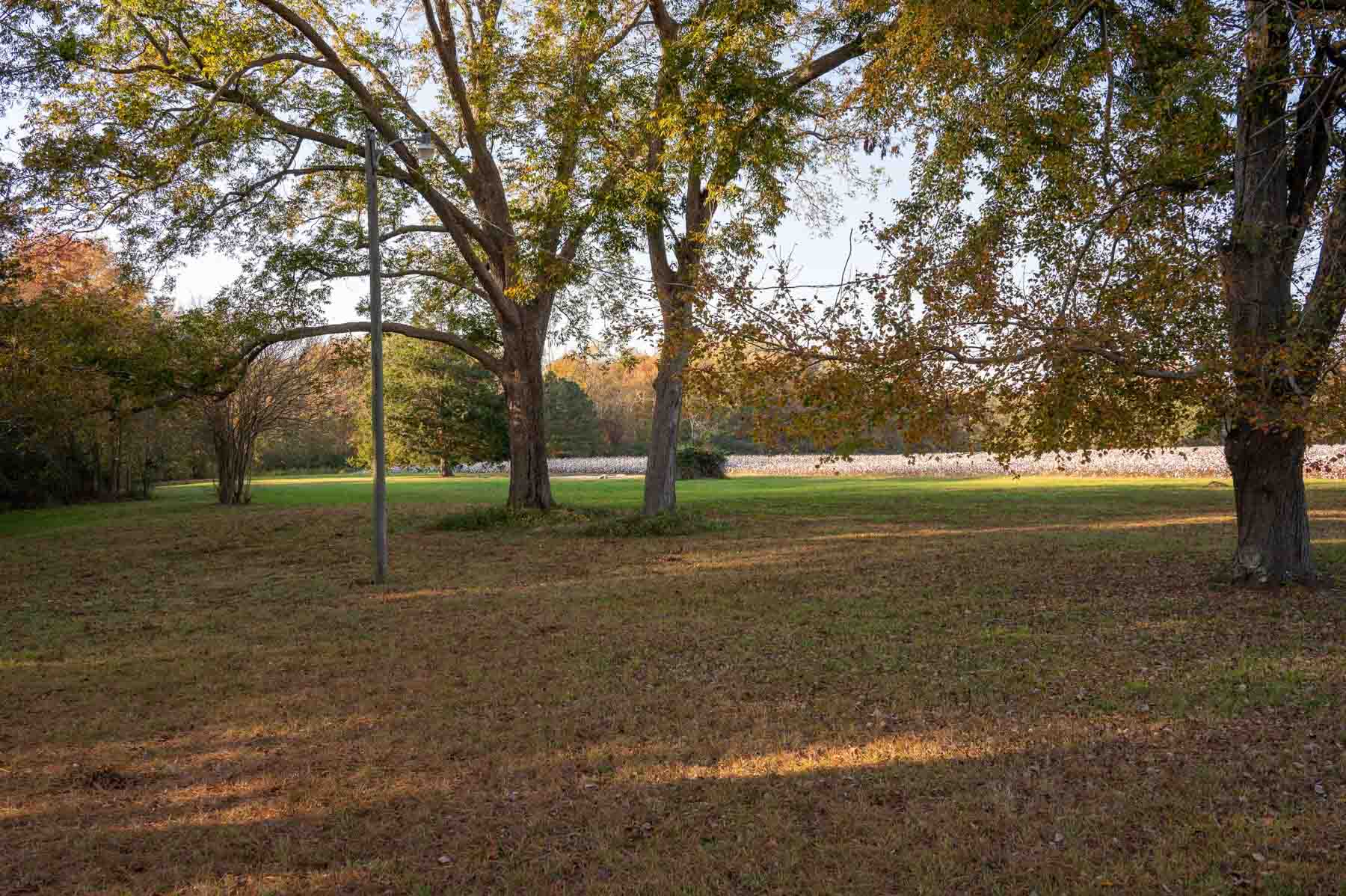 Cotton Rose Farm - Tract 1 property picture 18 of 69