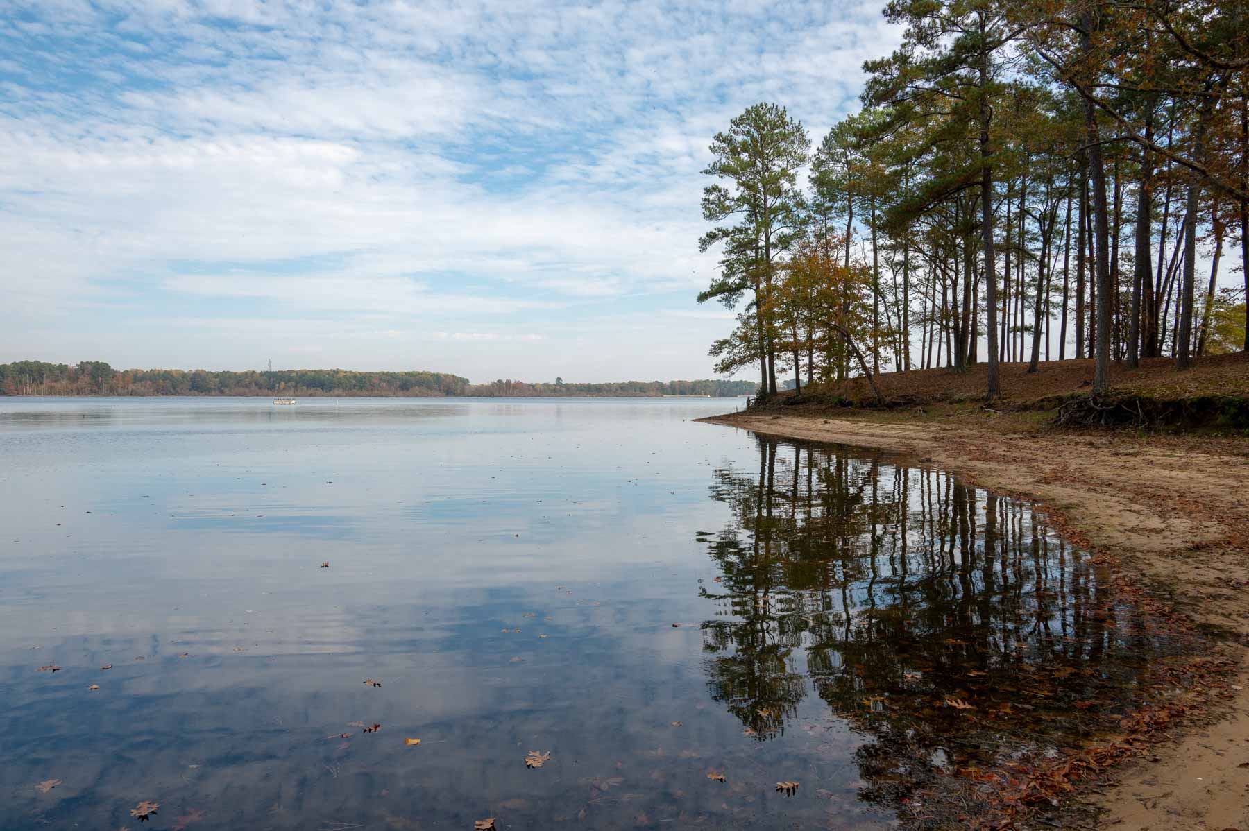 Cotton Rose Farm - Tract 1 property picture 59 of 69