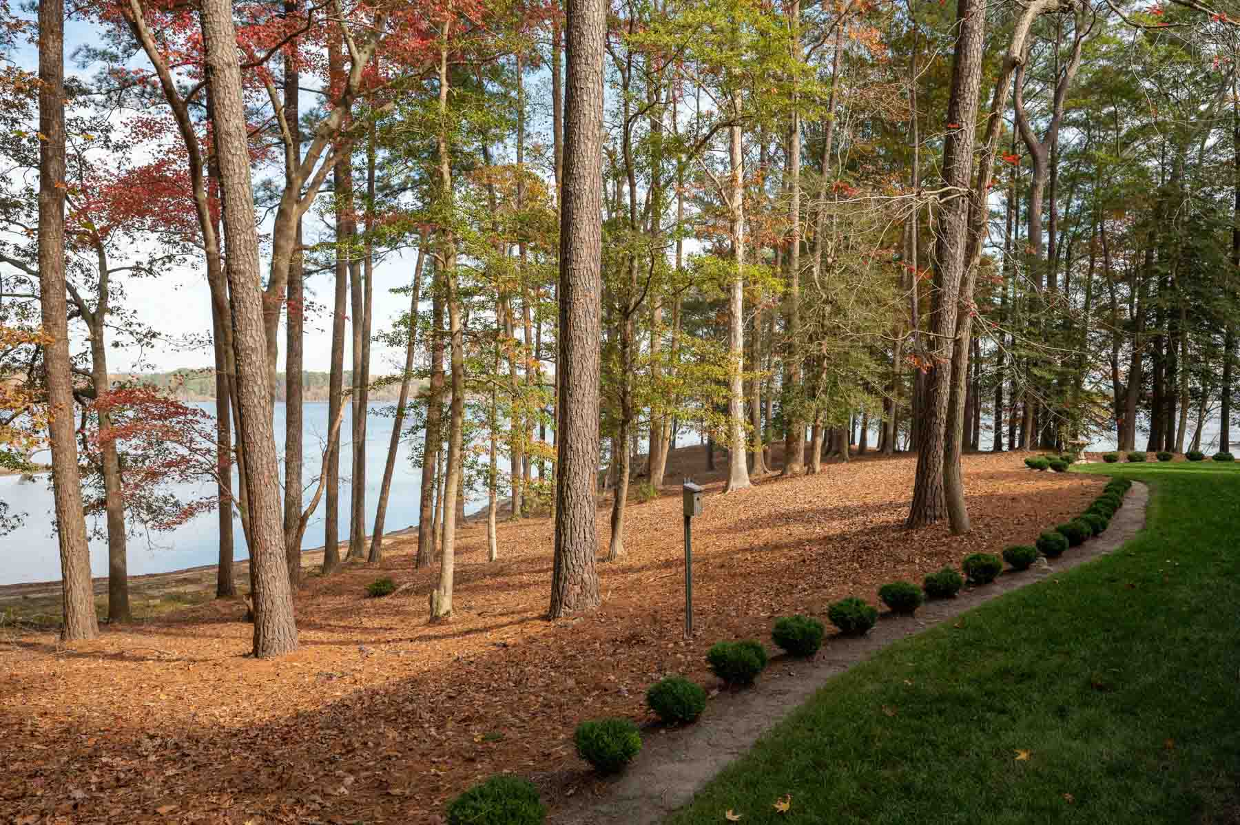 Cotton Rose Farm - Tract 1 property picture 51 of 69