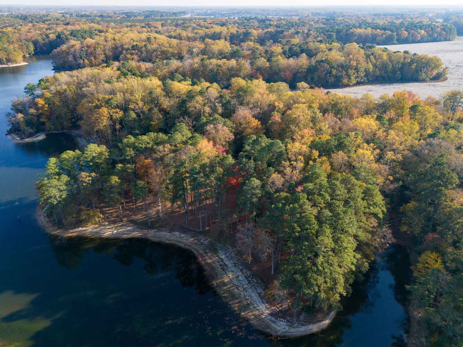 Cotton Rose Farm - Tract 1 property picture 64 of 69