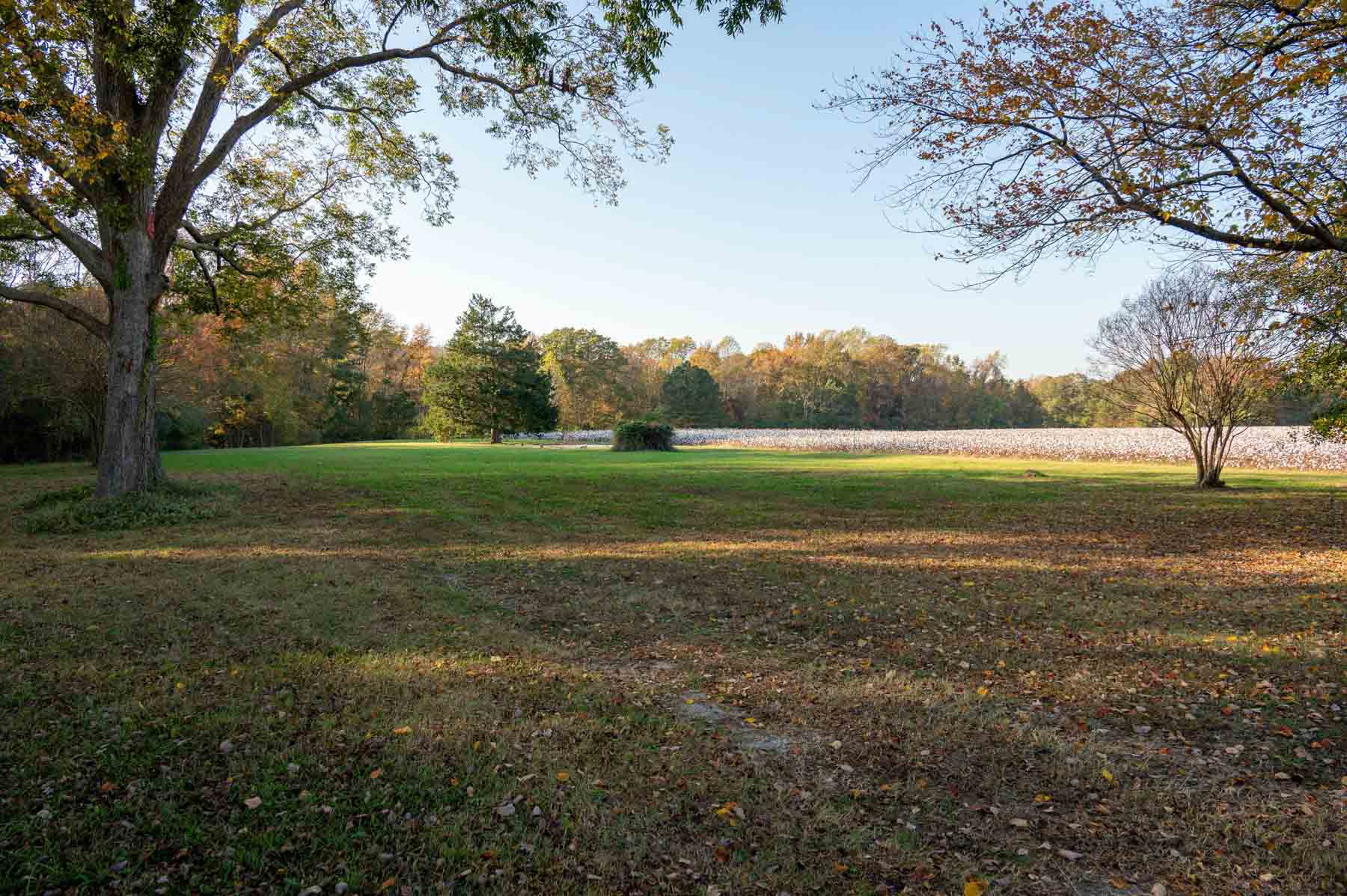 Cotton Rose Farm - Tract 1 property picture 6 of 69