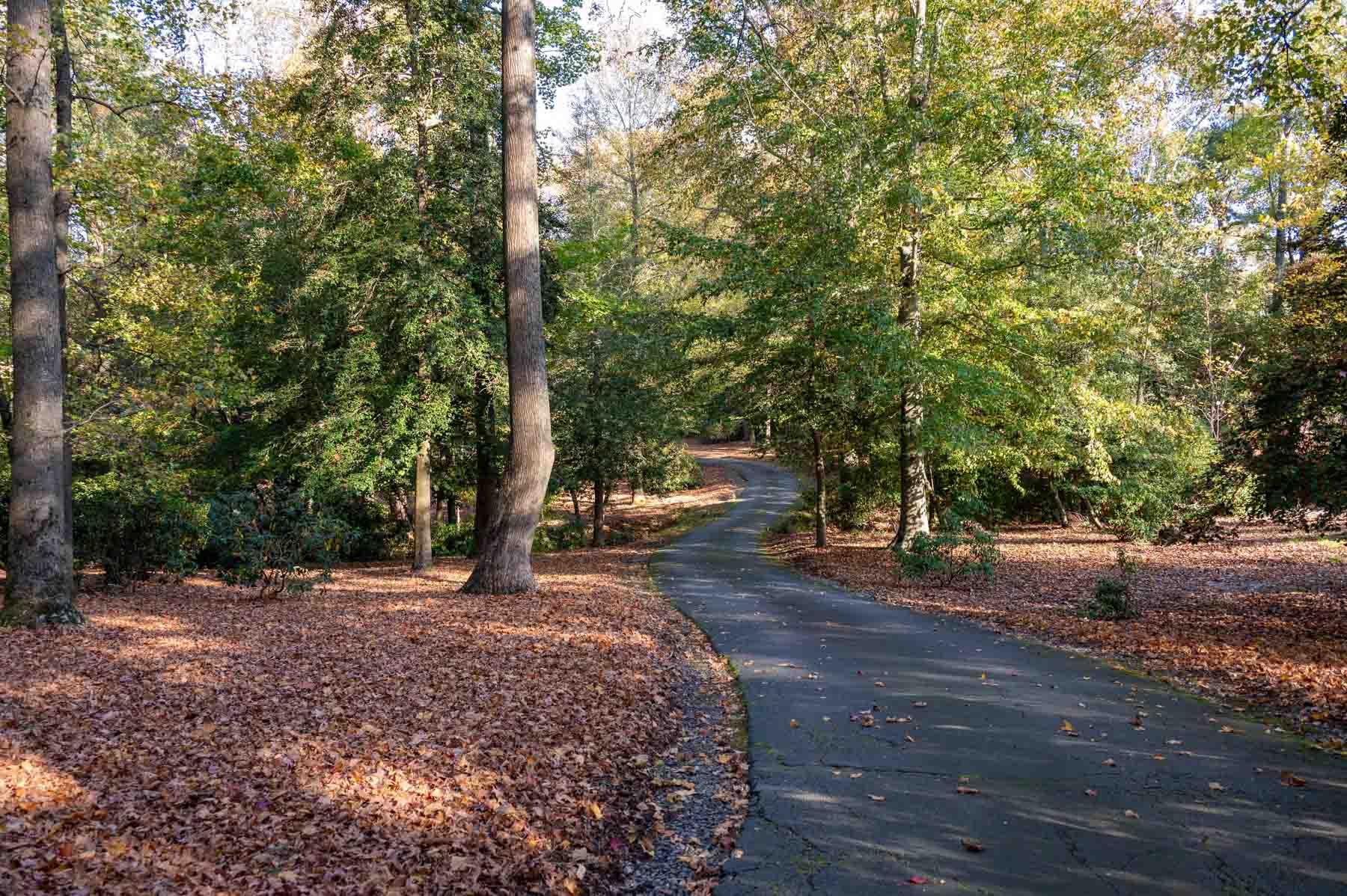 Cotton Rose Farm - Tract 1 property picture 2 of 69