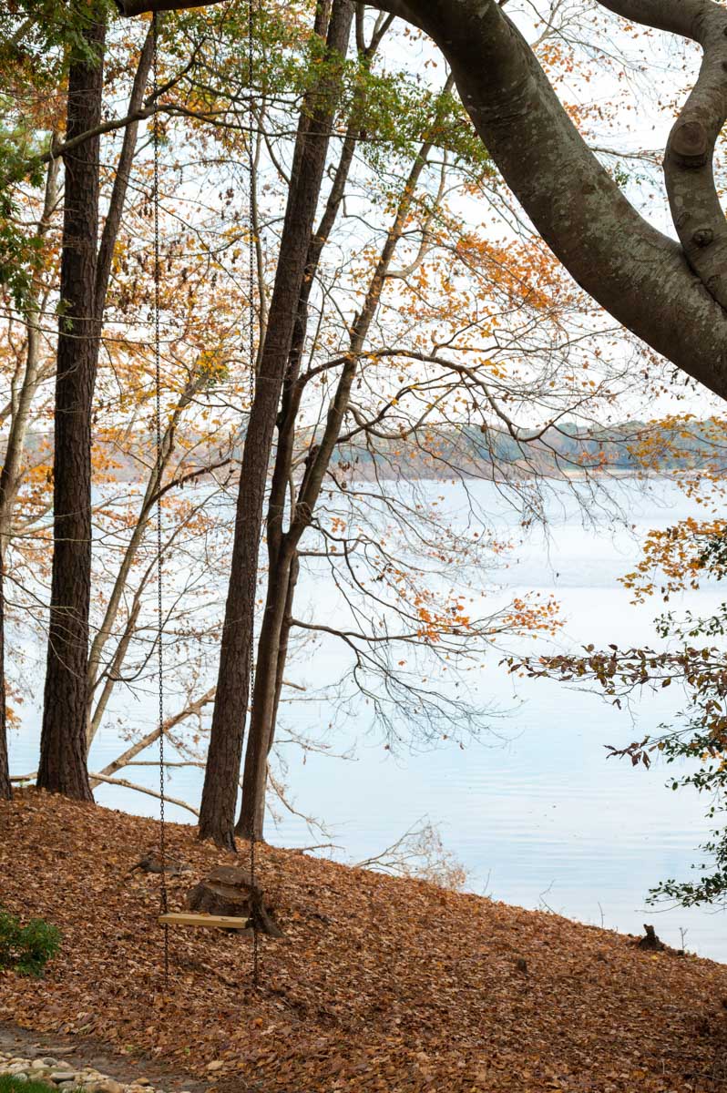 Cotton Rose Farm - Tract 1 property picture 62 of 69