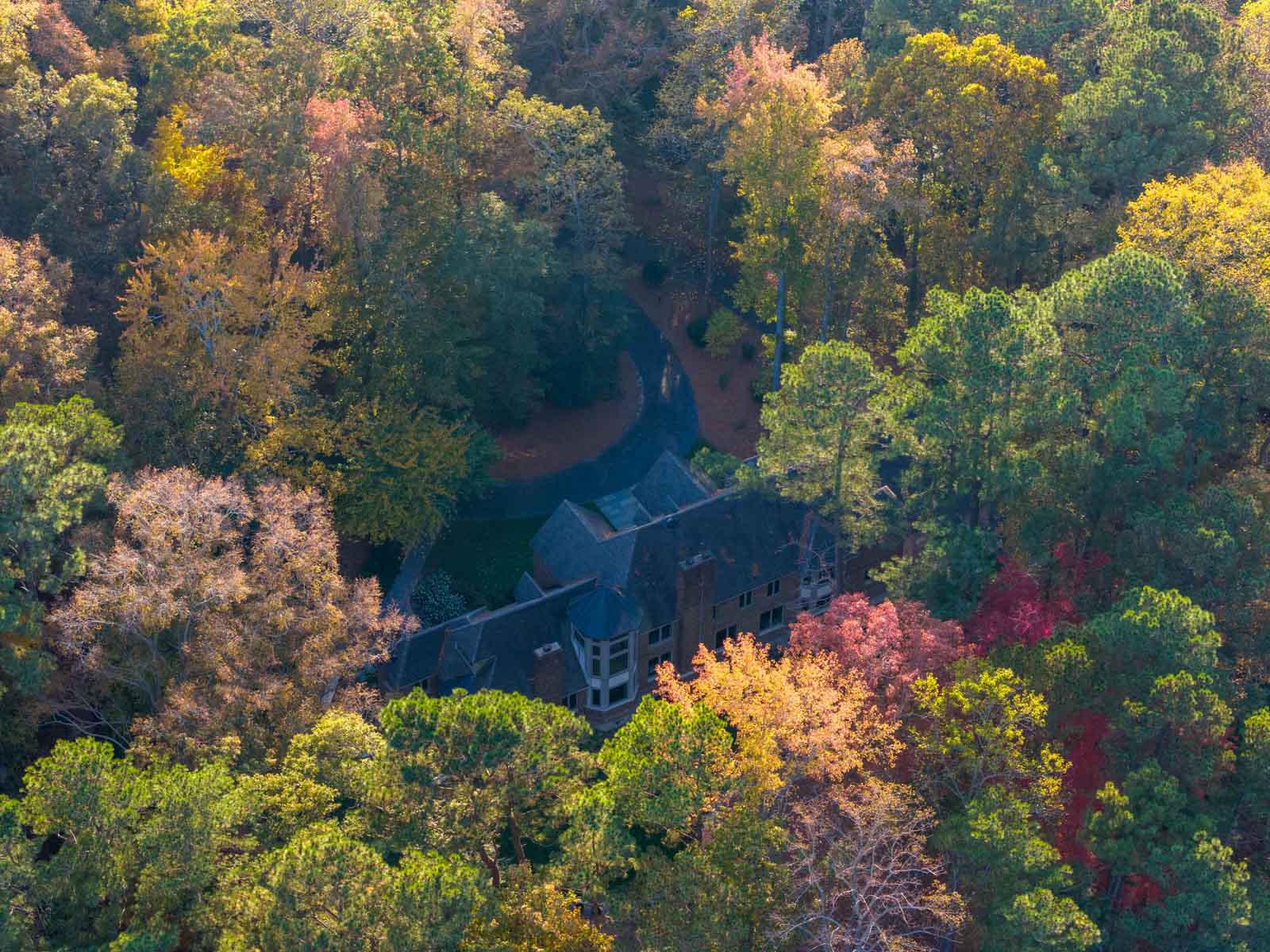 Cotton Rose Farm - Tract 1 property picture 4 of 69