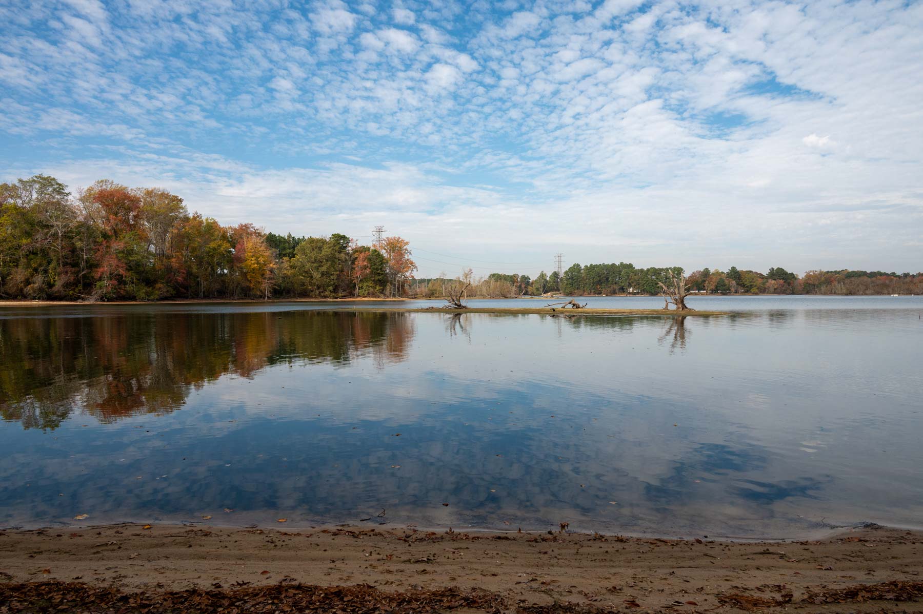 Cotton Rose Farm - Tract 1 property picture 58 of 69