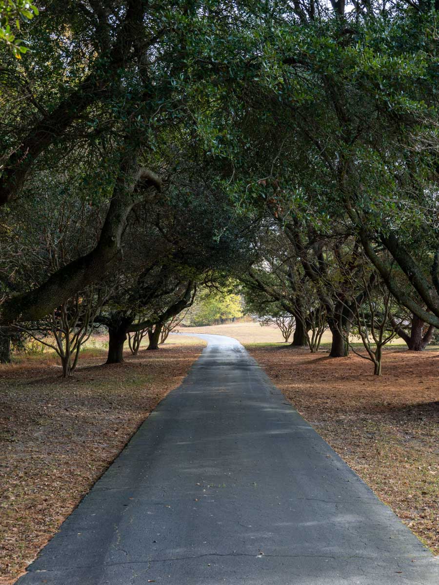 Cotton Rose Farm - Tract 1 property picture 9 of 69