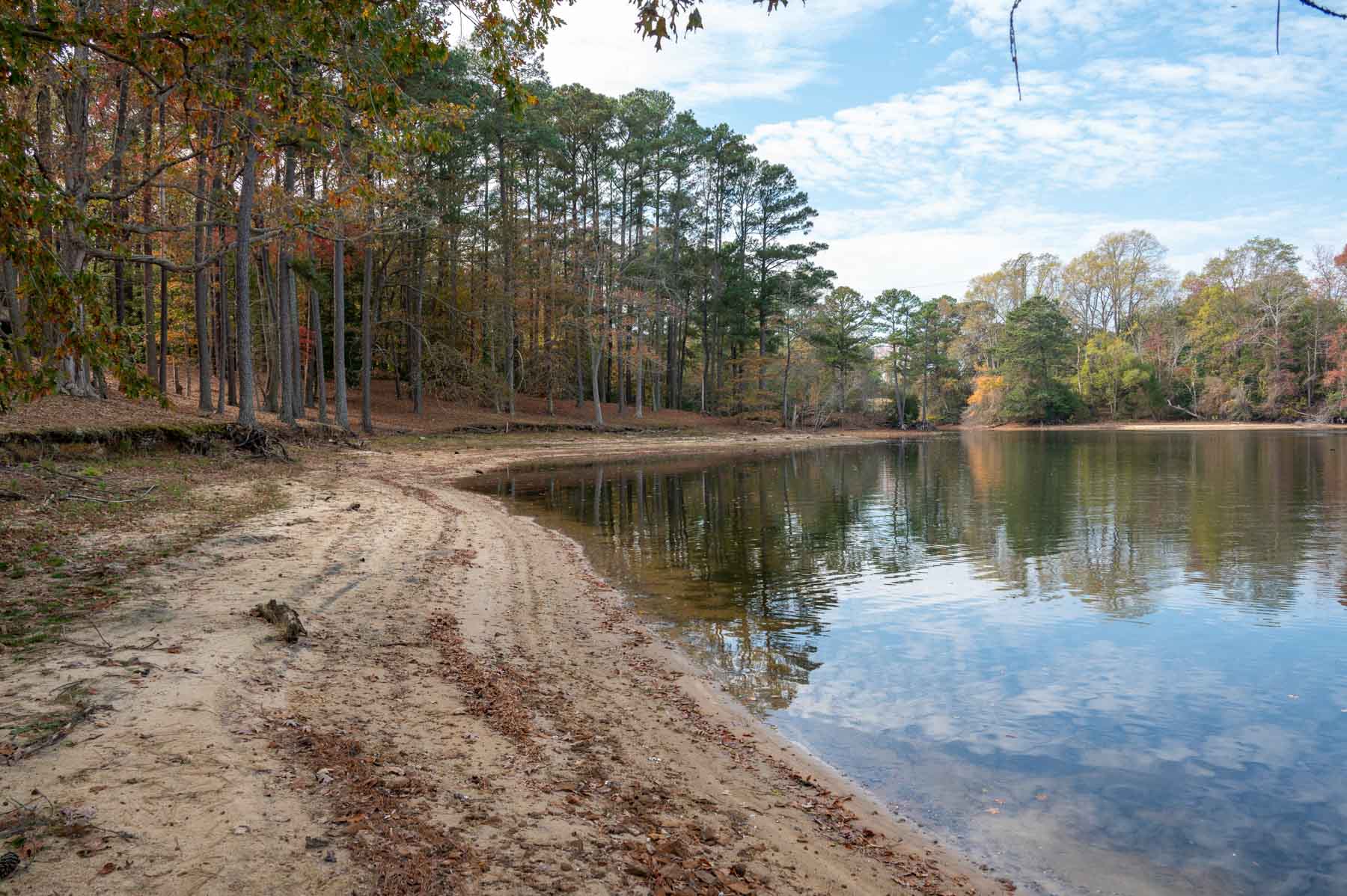 Cotton Rose Farm - Tract 1 property picture 57 of 69