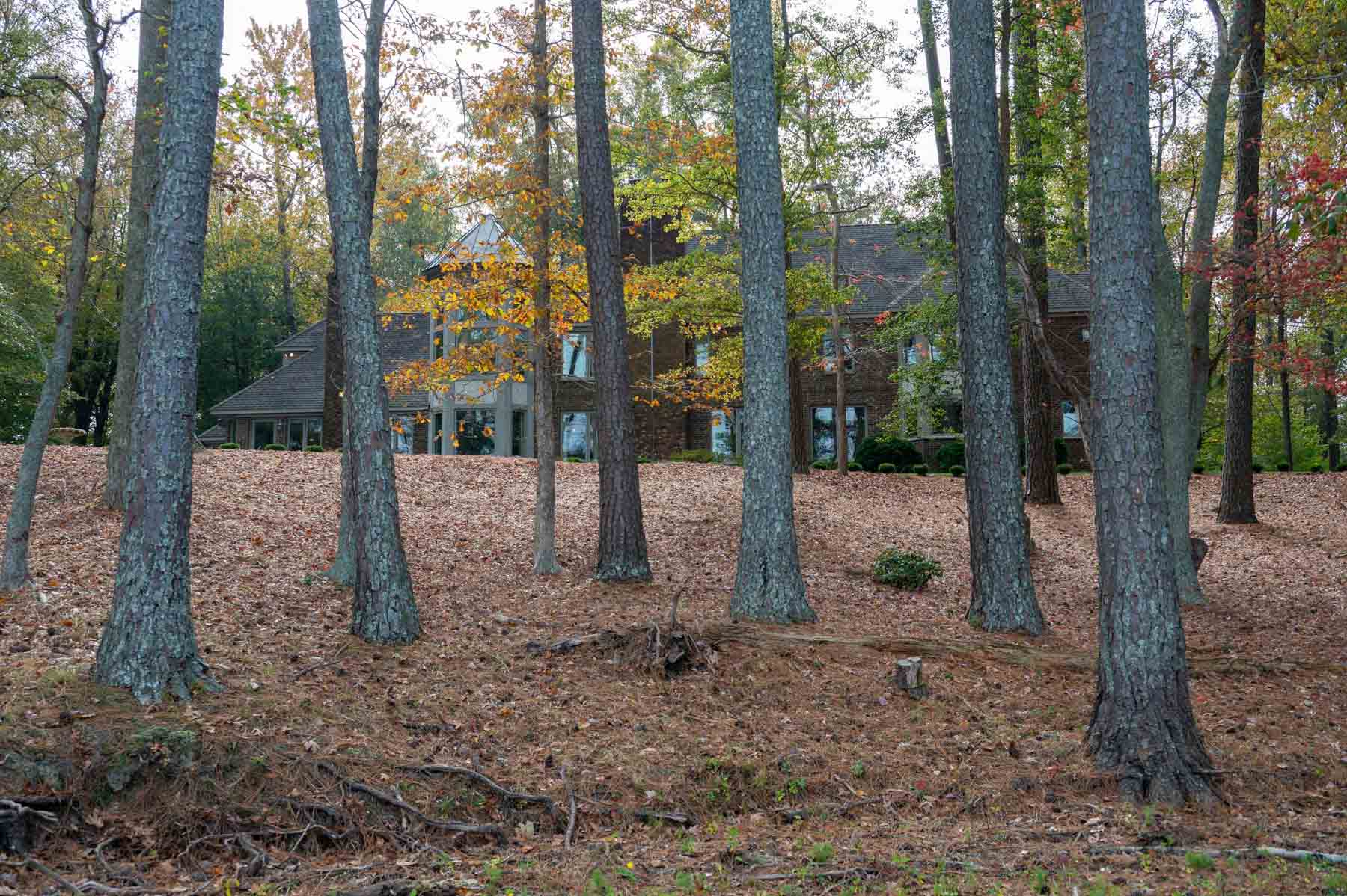 Cotton Rose Farm - Tract 1 property picture 60 of 69