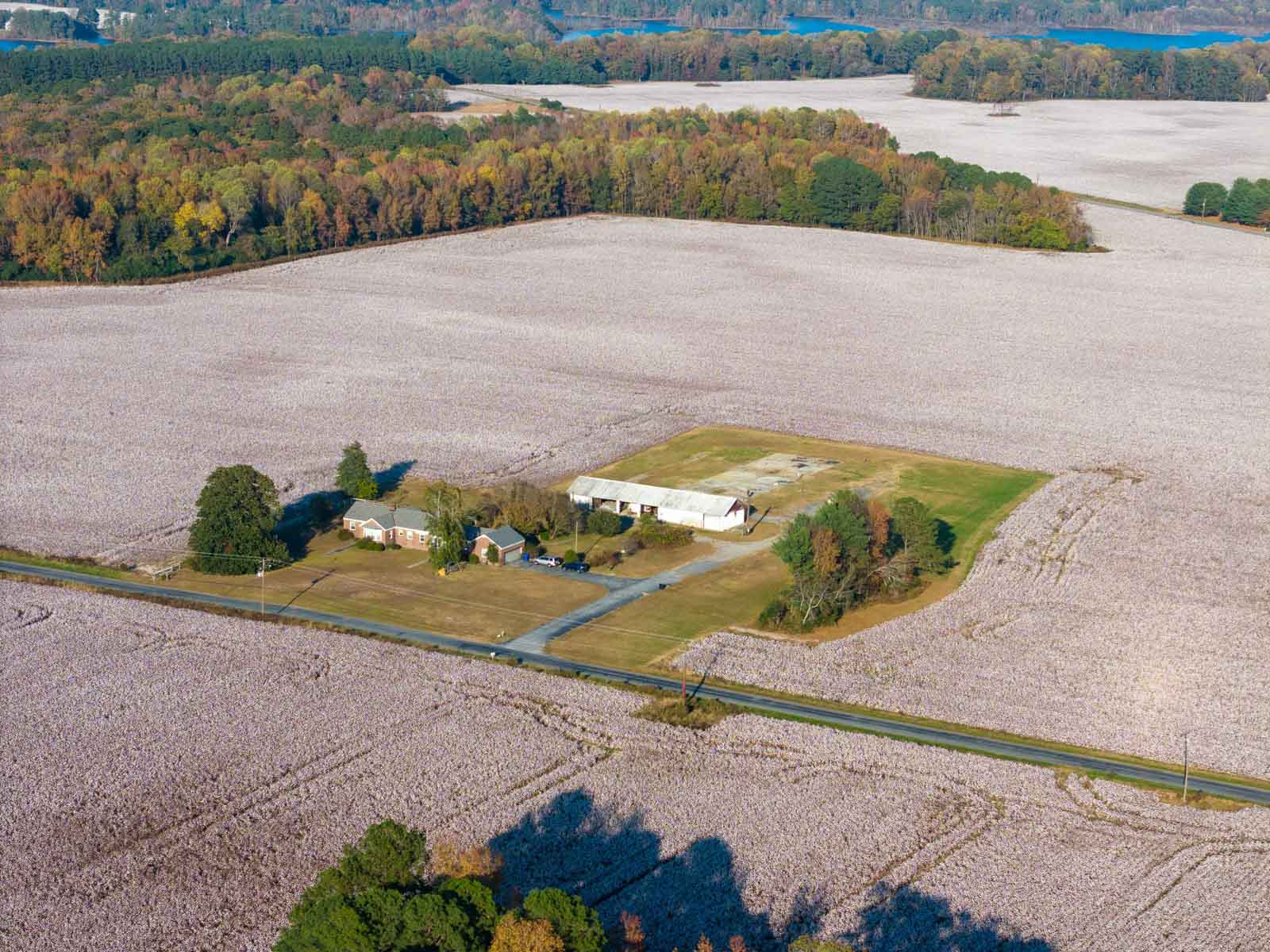 Cotton Rose Farm - Tract 6 property picture 4 of 6