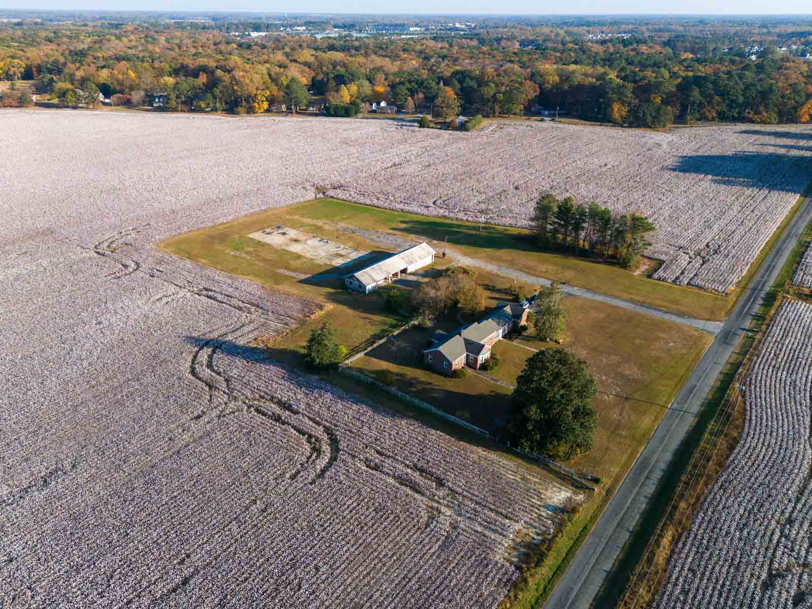 Cotton Rose Farm - Tract 6 property picture 5 of 6