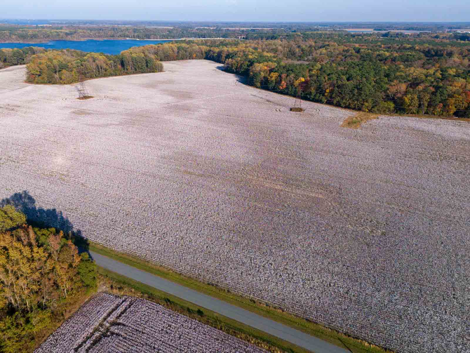 Cotton Rose Farm - Tracts 2, 3, 4, & 7 property picture 16 of 20