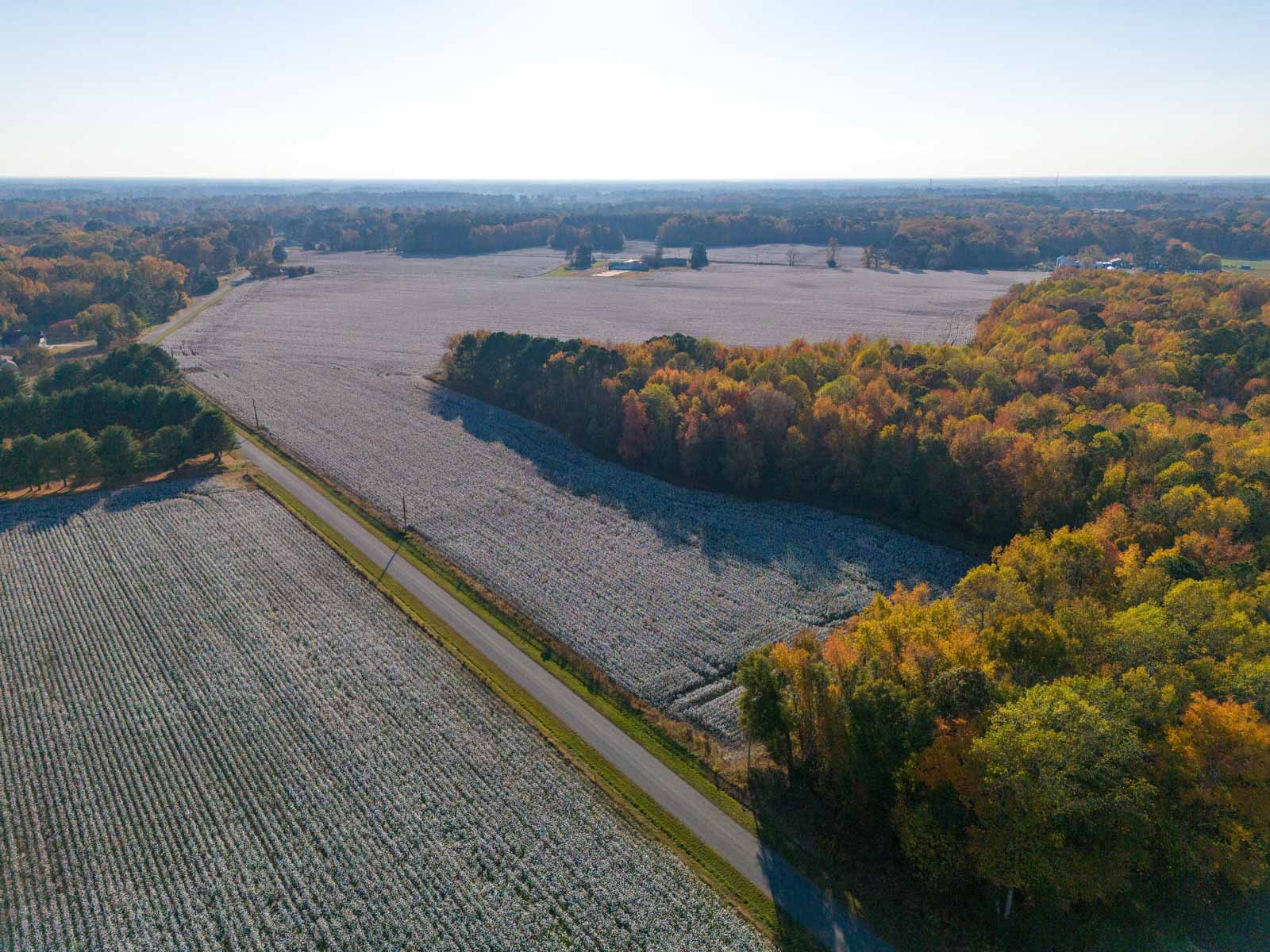 Cotton Rose Farm - Tracts 2, 3, 4, & 7 property picture 20 of 20