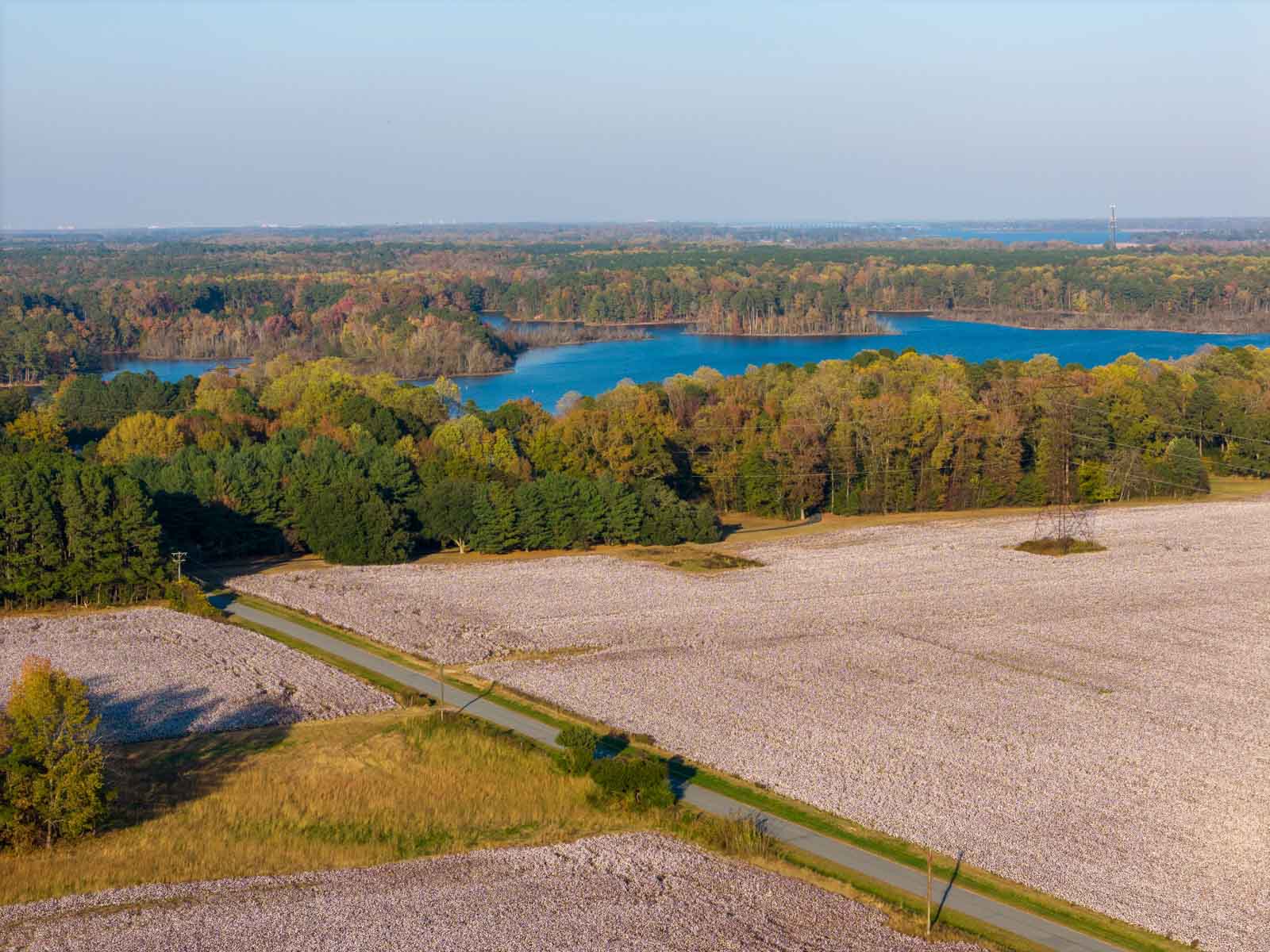 Cotton Rose Farm - Tracts 2, 3, 4, & 7 property picture 3 of 20