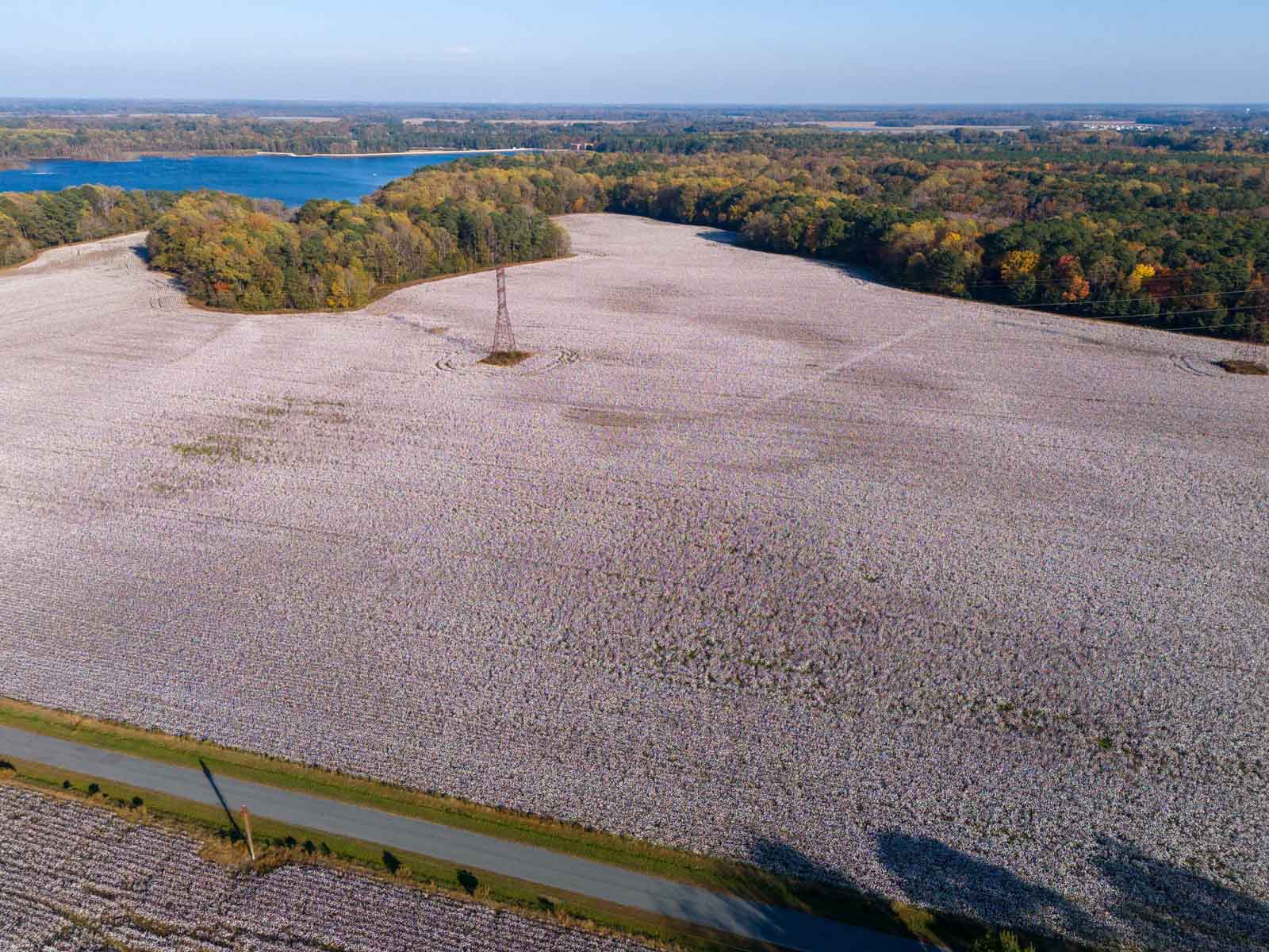 Cotton Rose Farm - Tracts 2, 3, 4, & 7 property picture 14 of 20