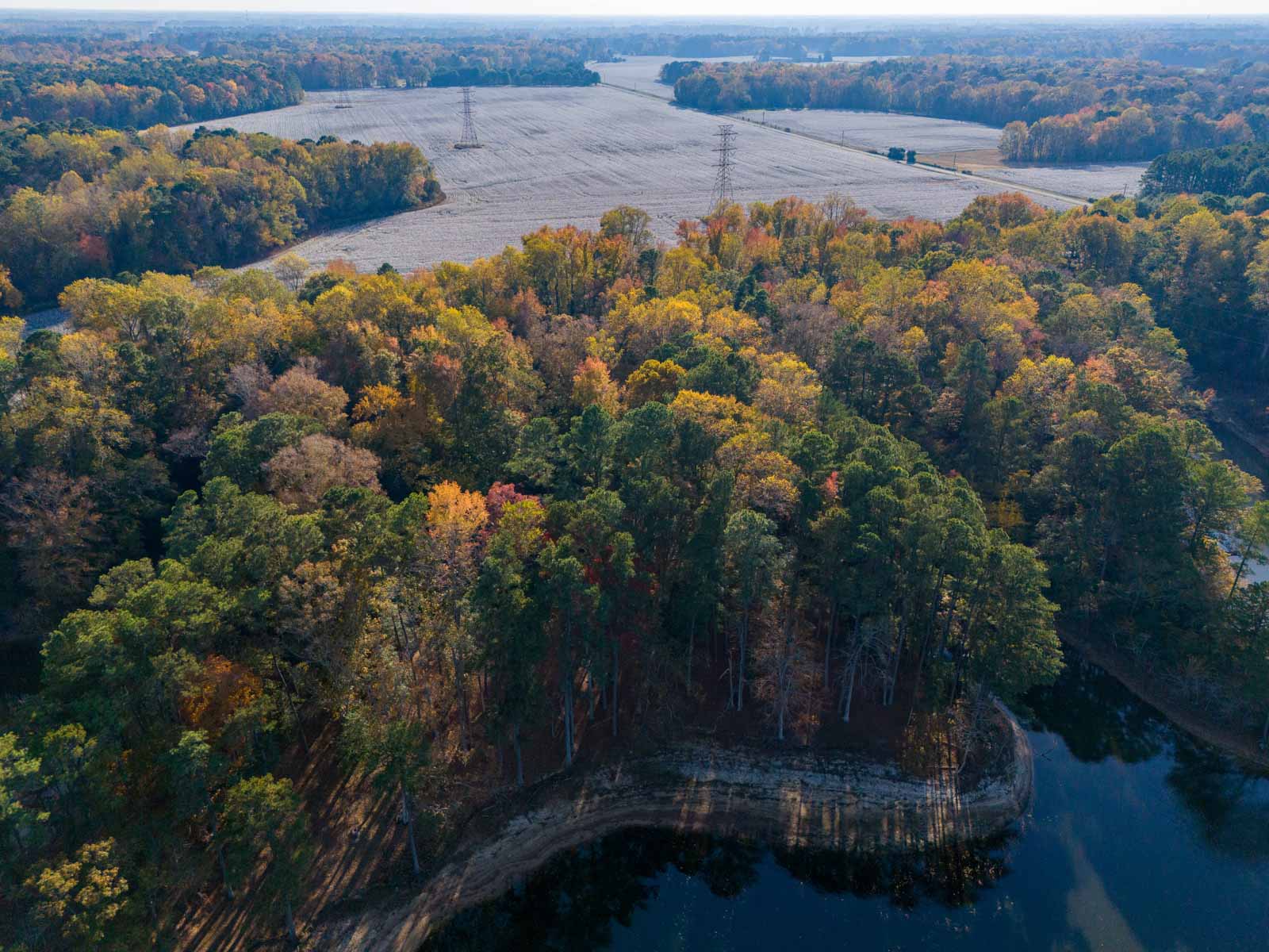 Cotton Rose Farm - Tracts 2, 3, 4, & 7 property picture 9 of 20
