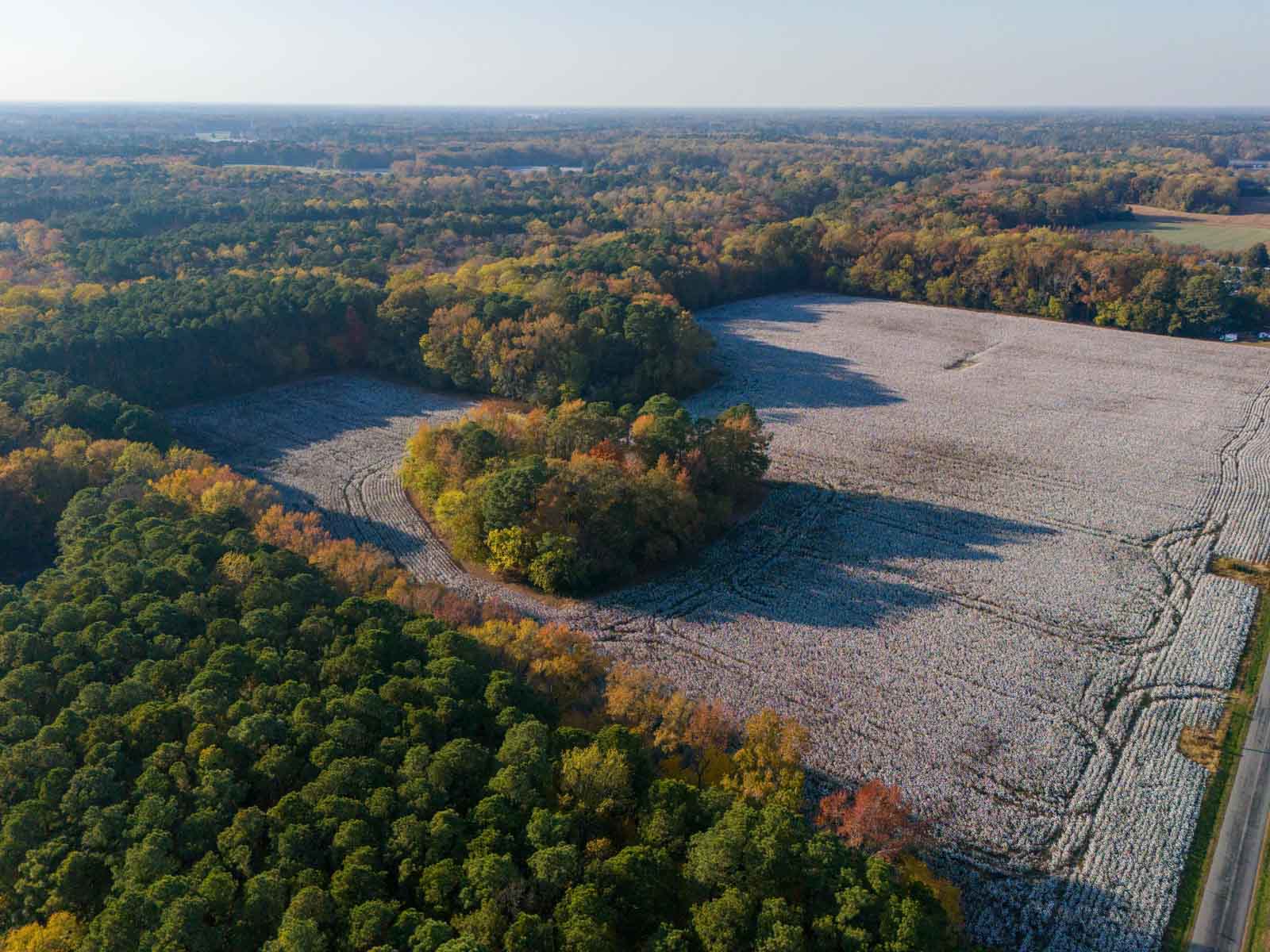 Cotton Rose Farm - Tracts 2, 3, 4, & 7 property picture 2 of 20