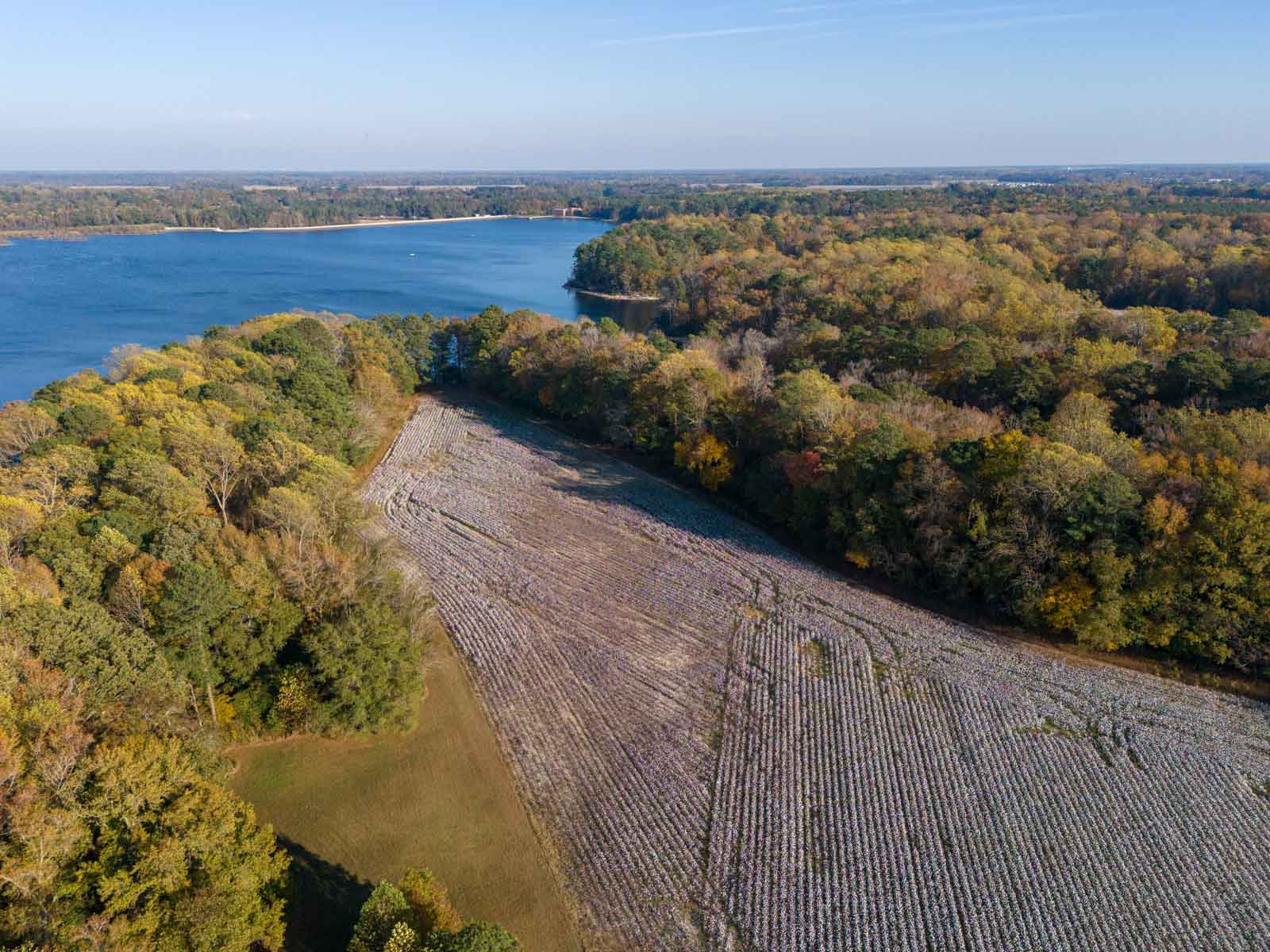 Cotton Rose Farm - Tracts 2, 3, 4, & 7 property picture 11 of 20