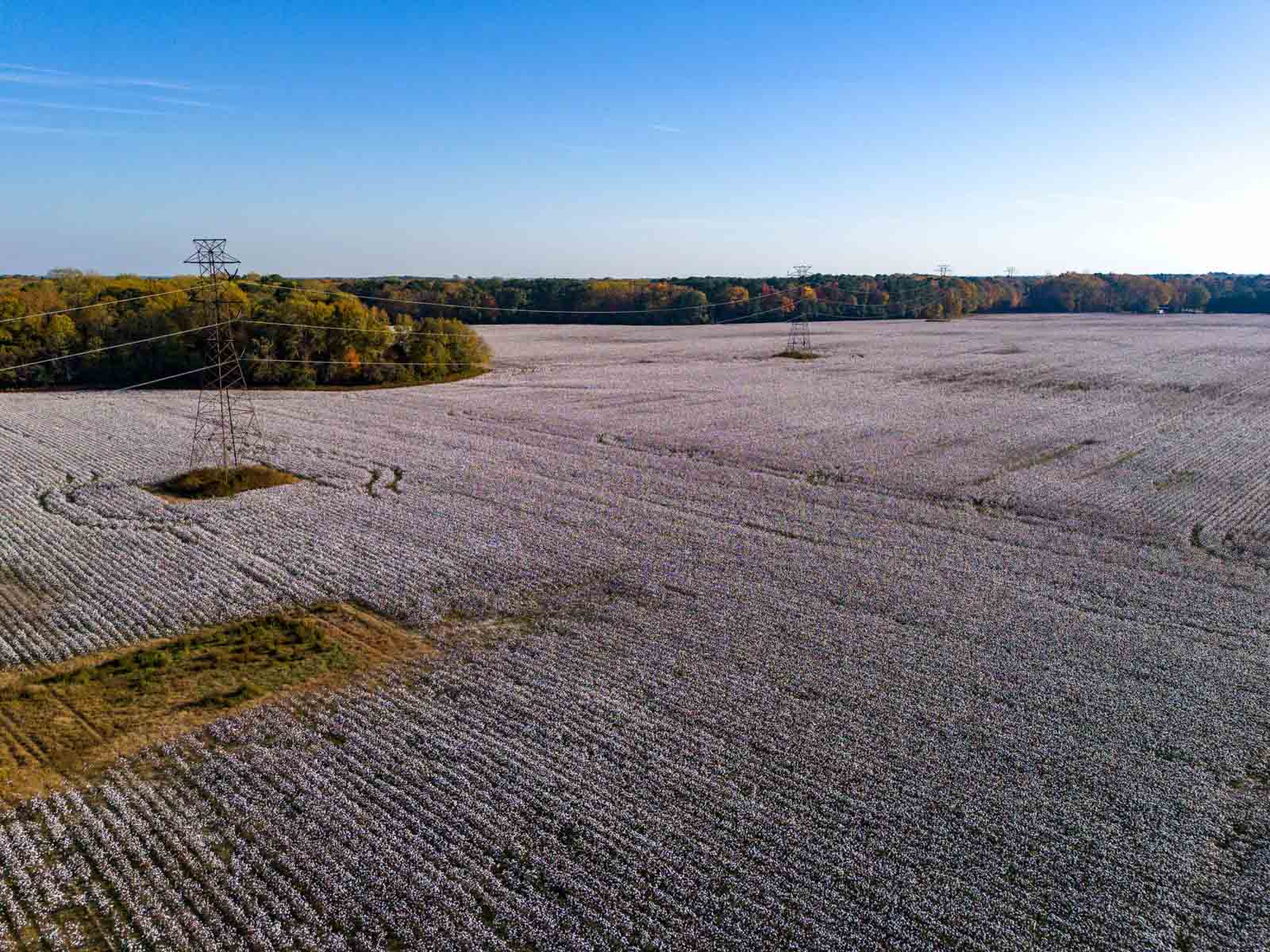 Cotton Rose Farm - Tracts 2, 3, 4, & 7 property picture 10 of 20