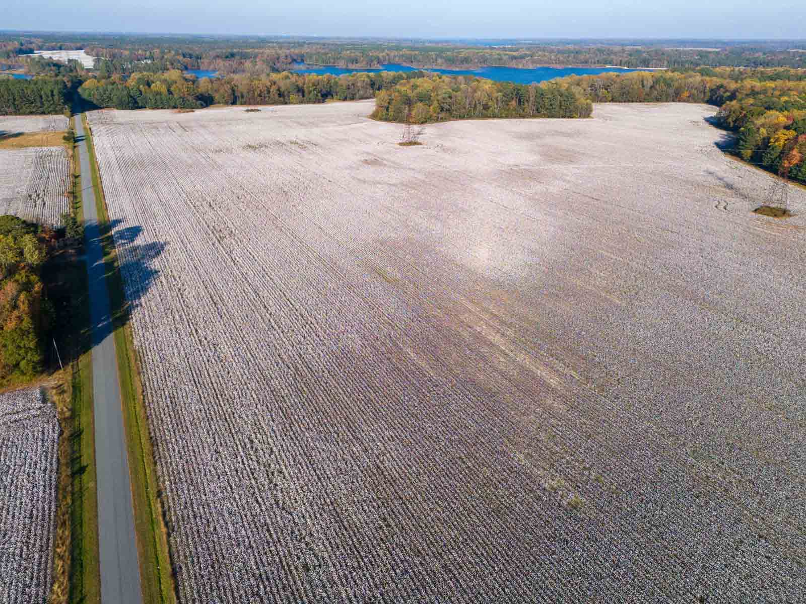 Cotton Rose Farm - Tracts 2, 3, 4, & 7 property picture 17 of 20