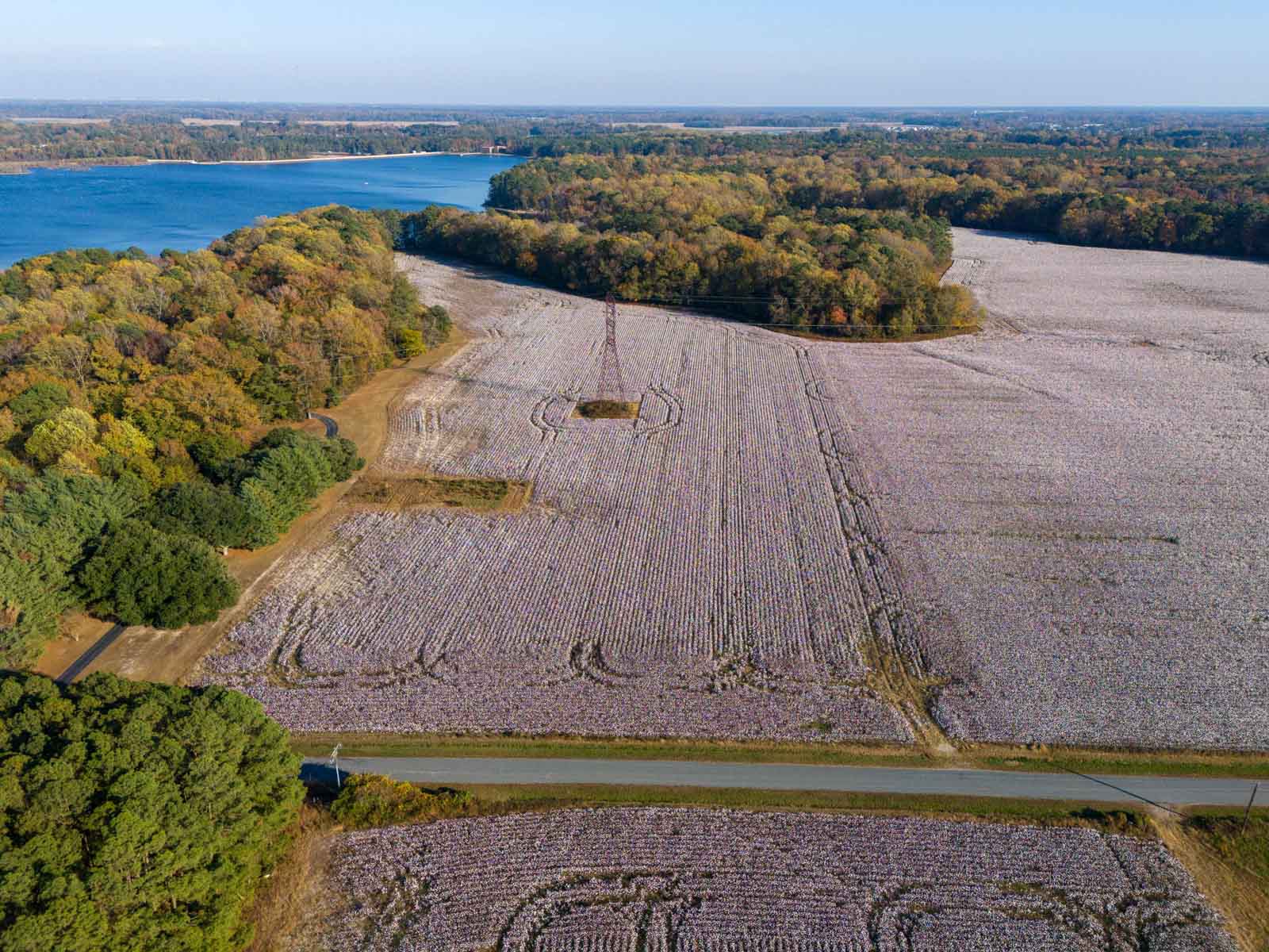 Cotton Rose Farm - Tracts 2, 3, 4, & 7 property picture 13 of 20