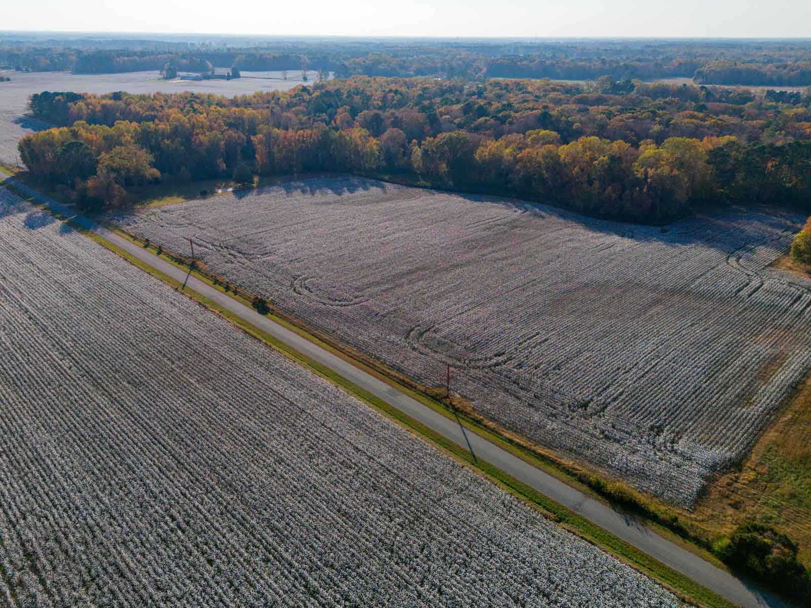 Cotton Rose Farm - Tracts 2, 3, 4, & 7 property picture 18 of 20