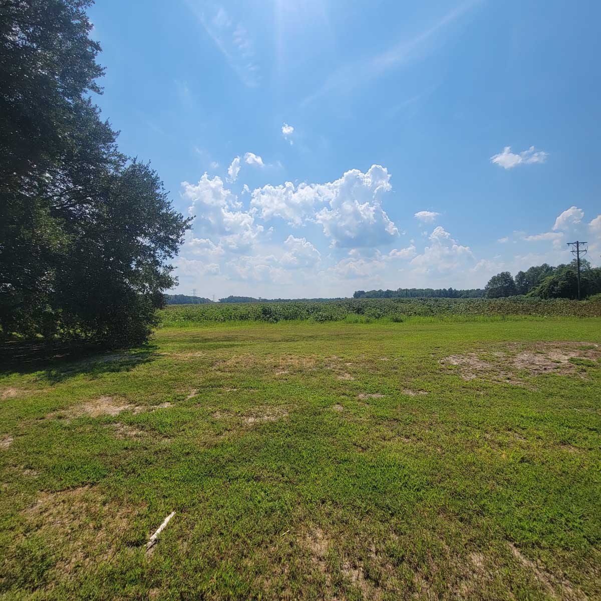 Cotton Rose Farm - Tracts 2, 3, 4, & 7 property picture 8 of 20