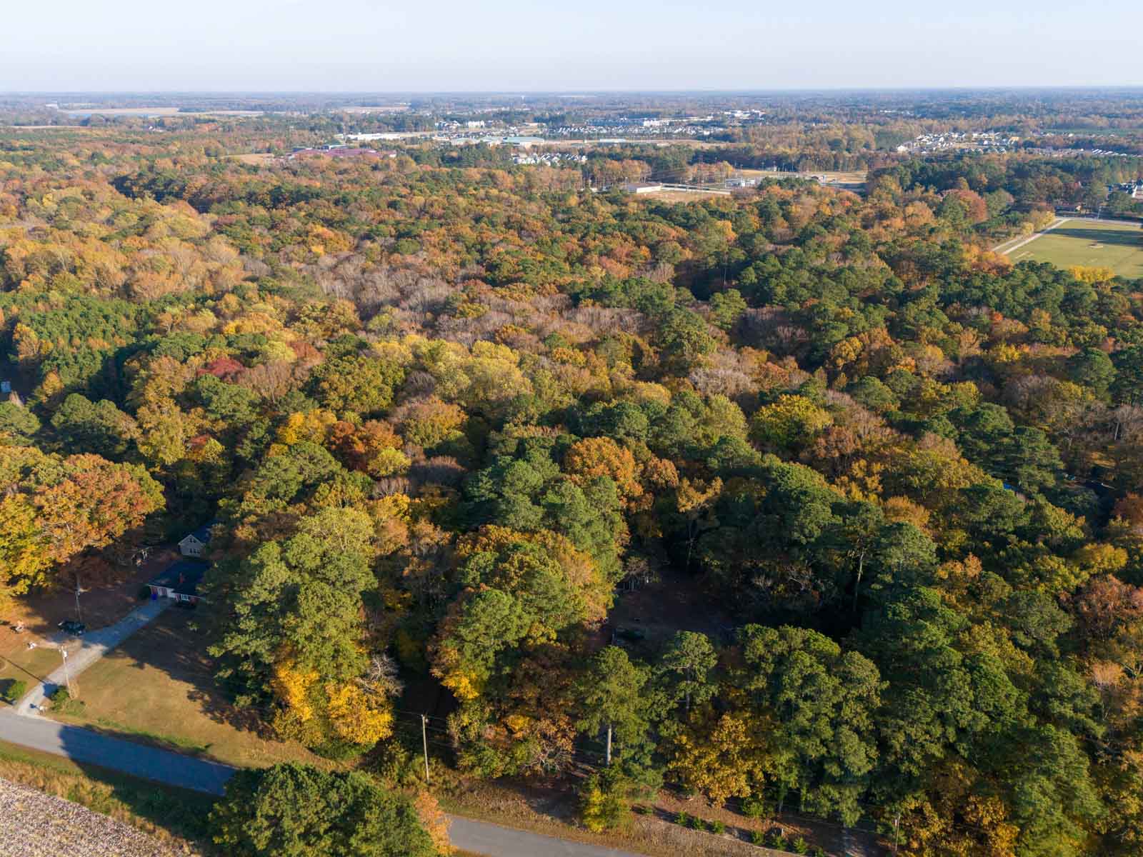 Cotton Rose Farm - Tract 8 property picture 3 of 4