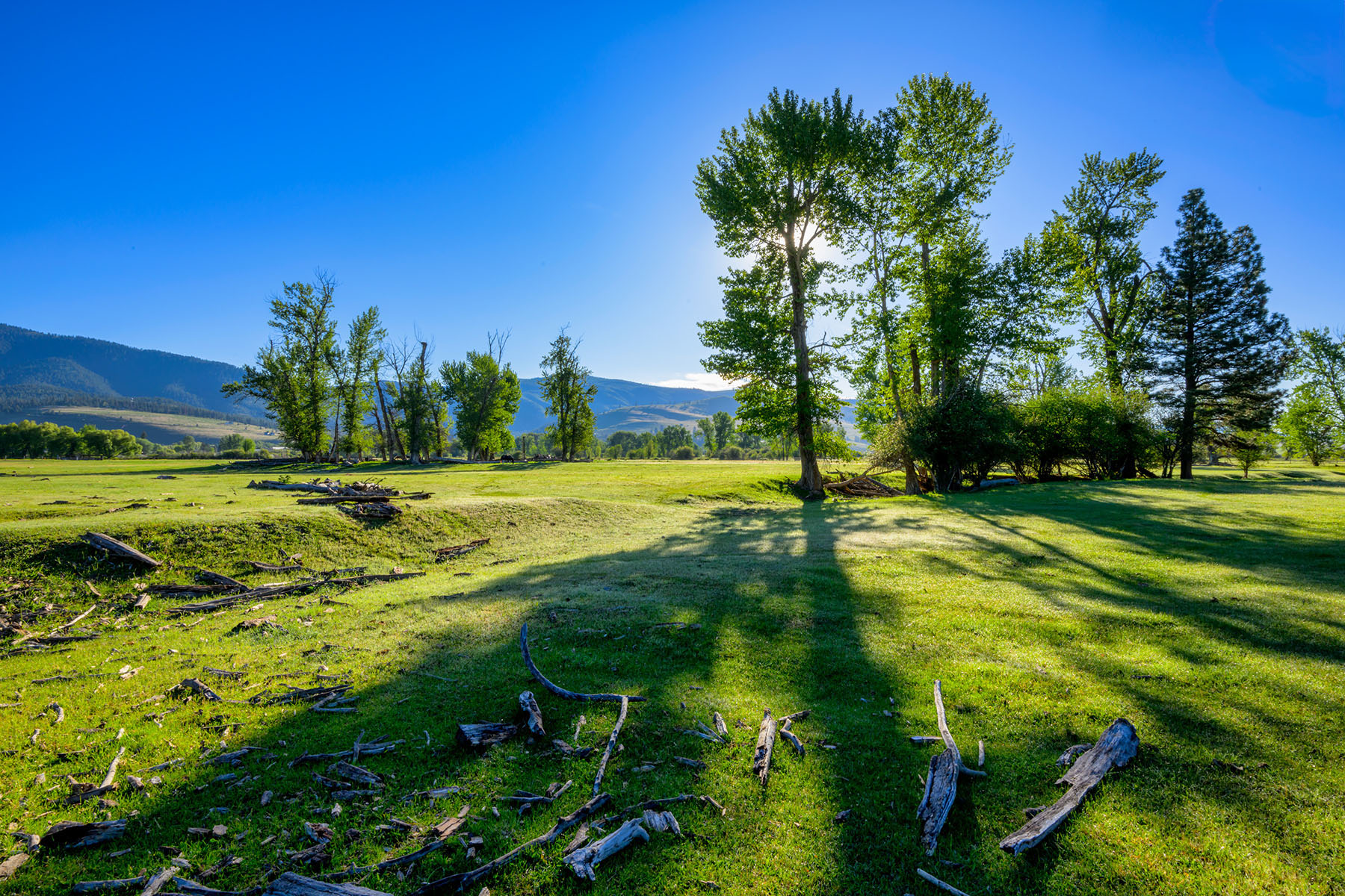 Clark Fork River Ranch property picture 21 of 55