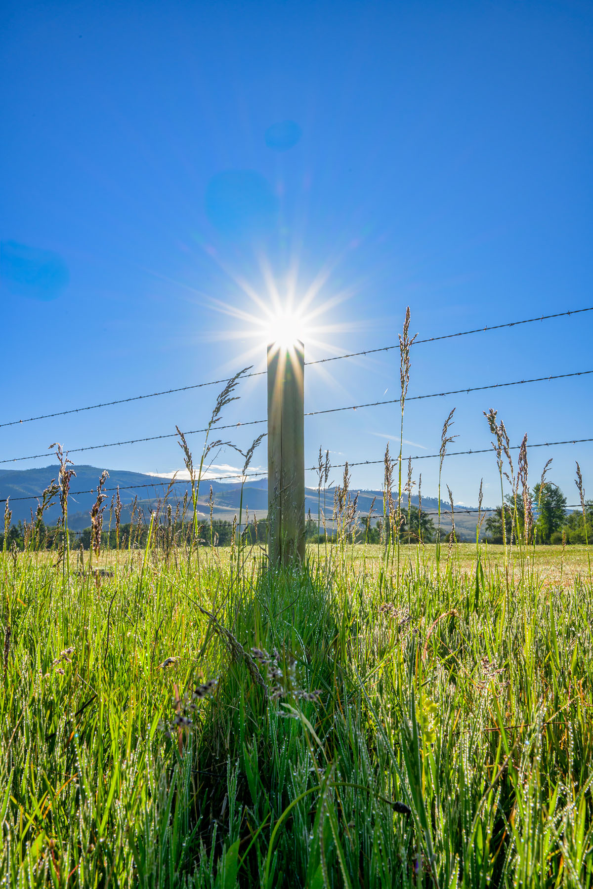 Clark Fork River Ranch property picture 20 of 55