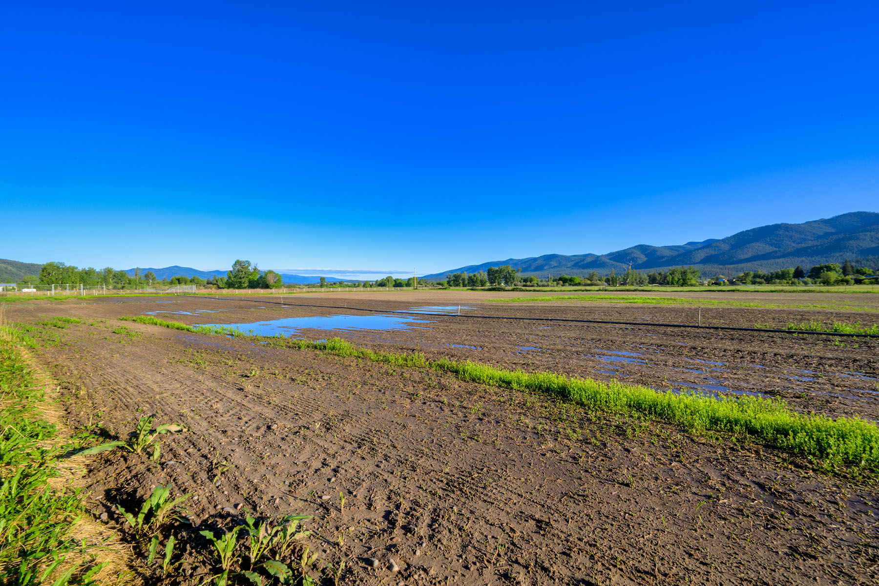 Clark Fork River Ranch property picture 17 of 55