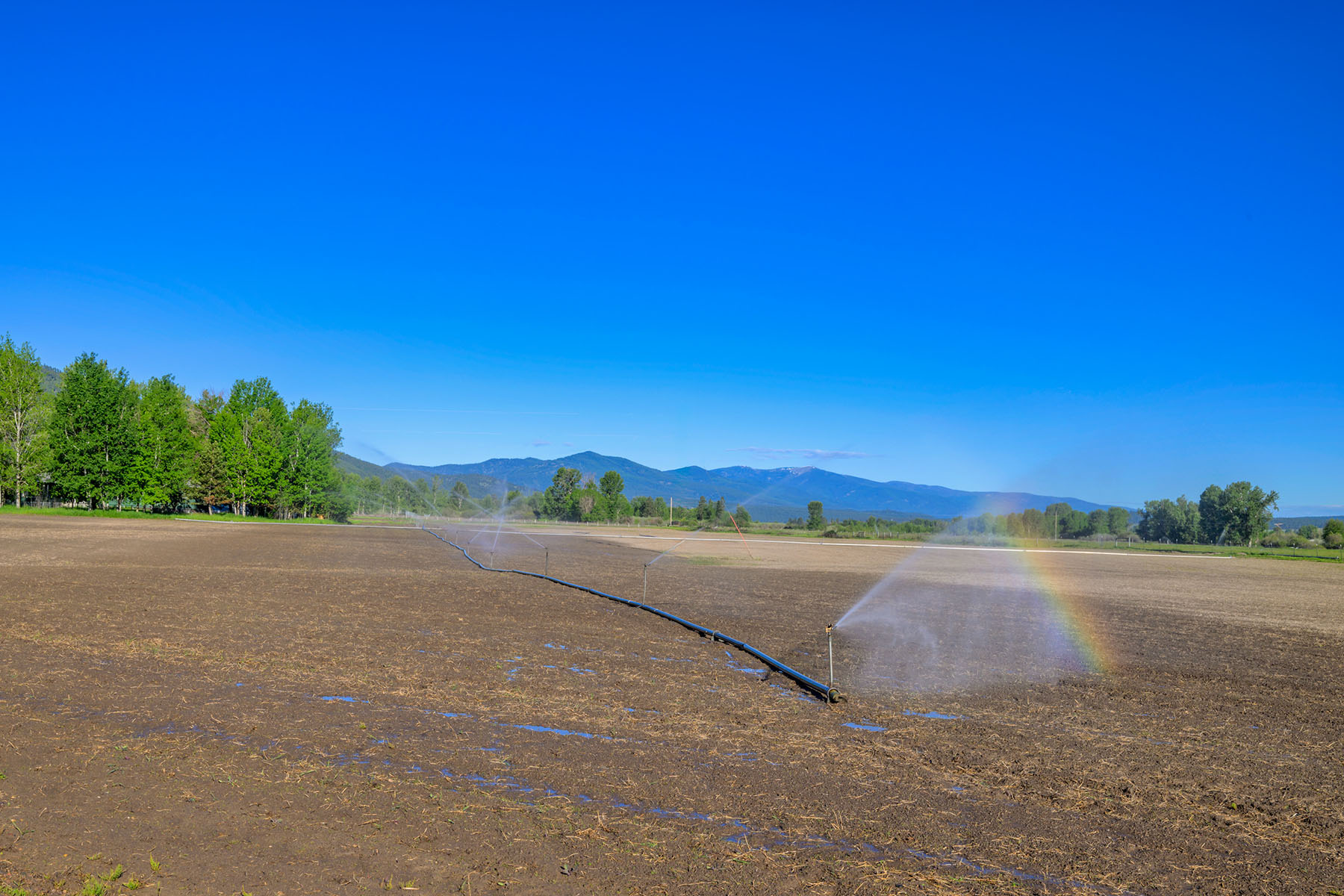 Clark Fork River Ranch property picture 54 of 55