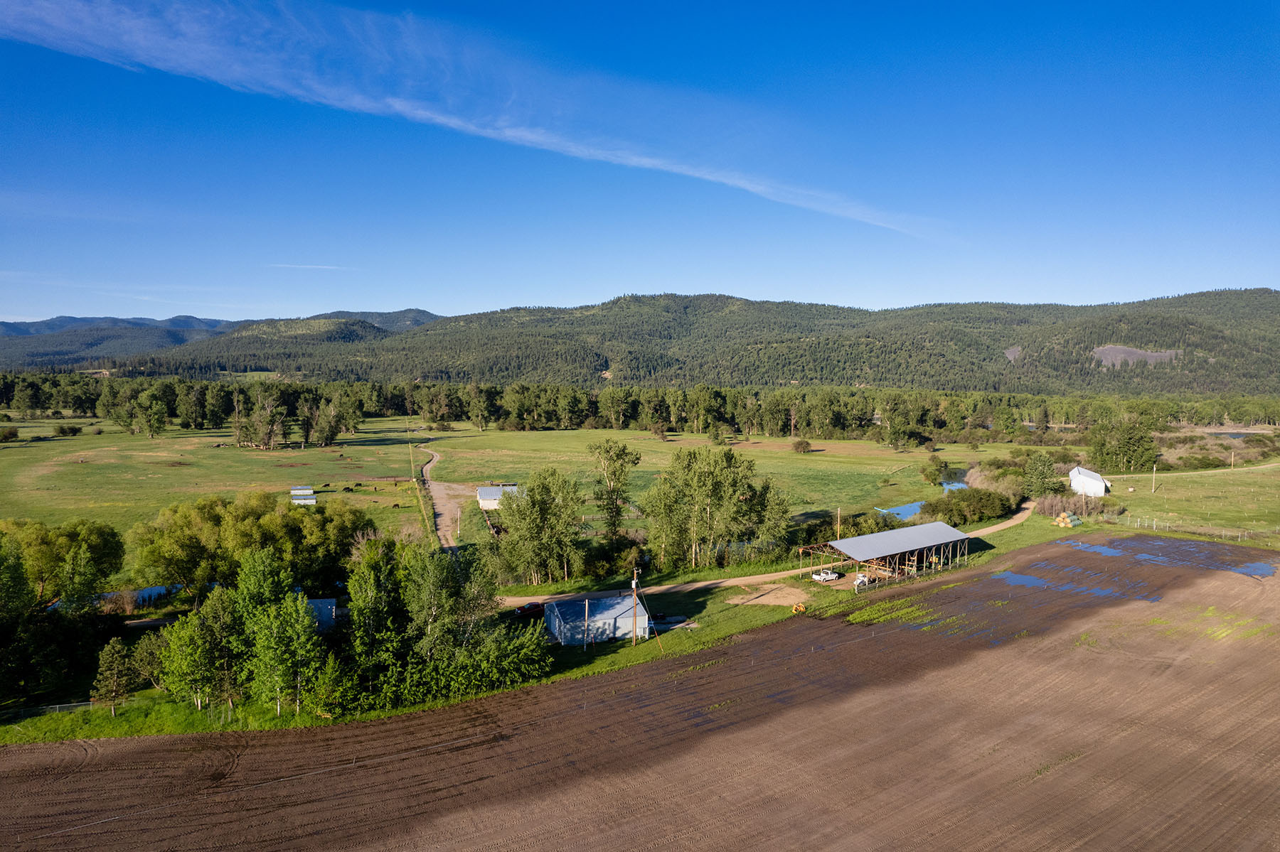 Clark Fork River Ranch property picture 12 of 55