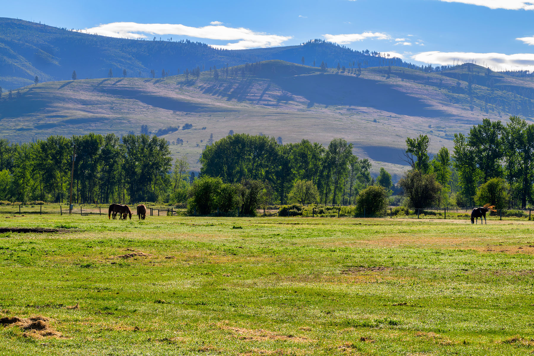 Clark Fork River Ranch property picture 26 of 55
