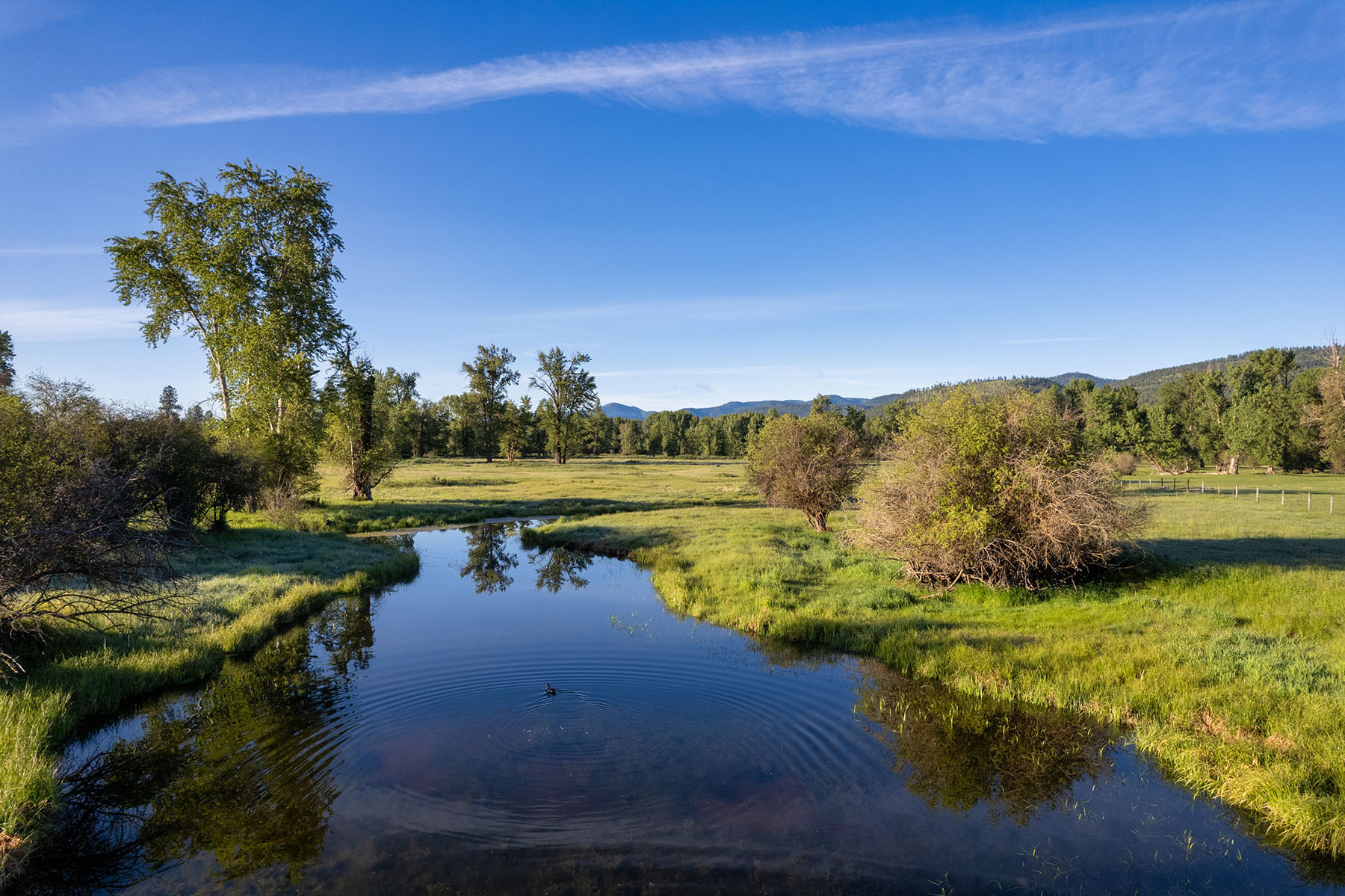 Clark Fork River Ranch property picture 10 of 55