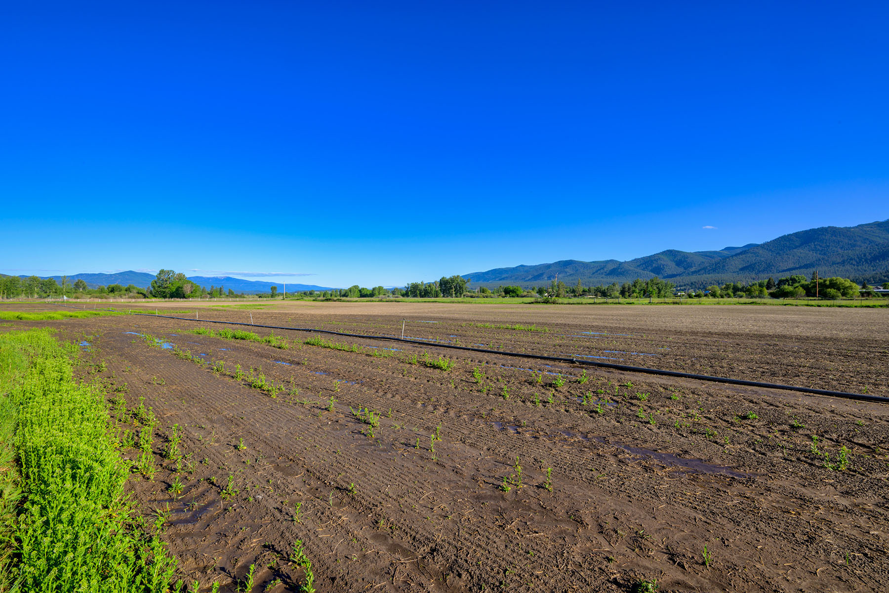 Clark Fork River Ranch property picture 29 of 55