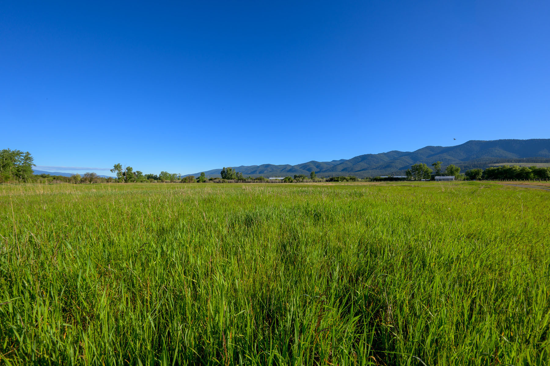 Clark Fork River Ranch property picture 24 of 55