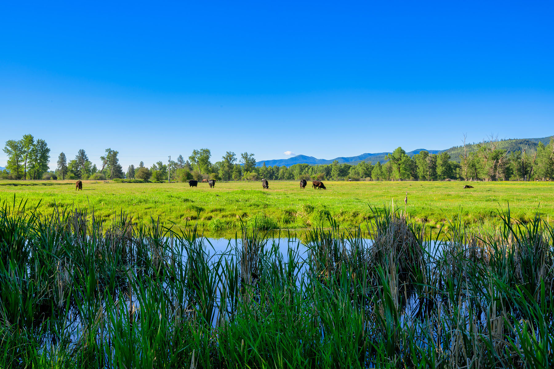 Clark Fork River Ranch property picture 53 of 55