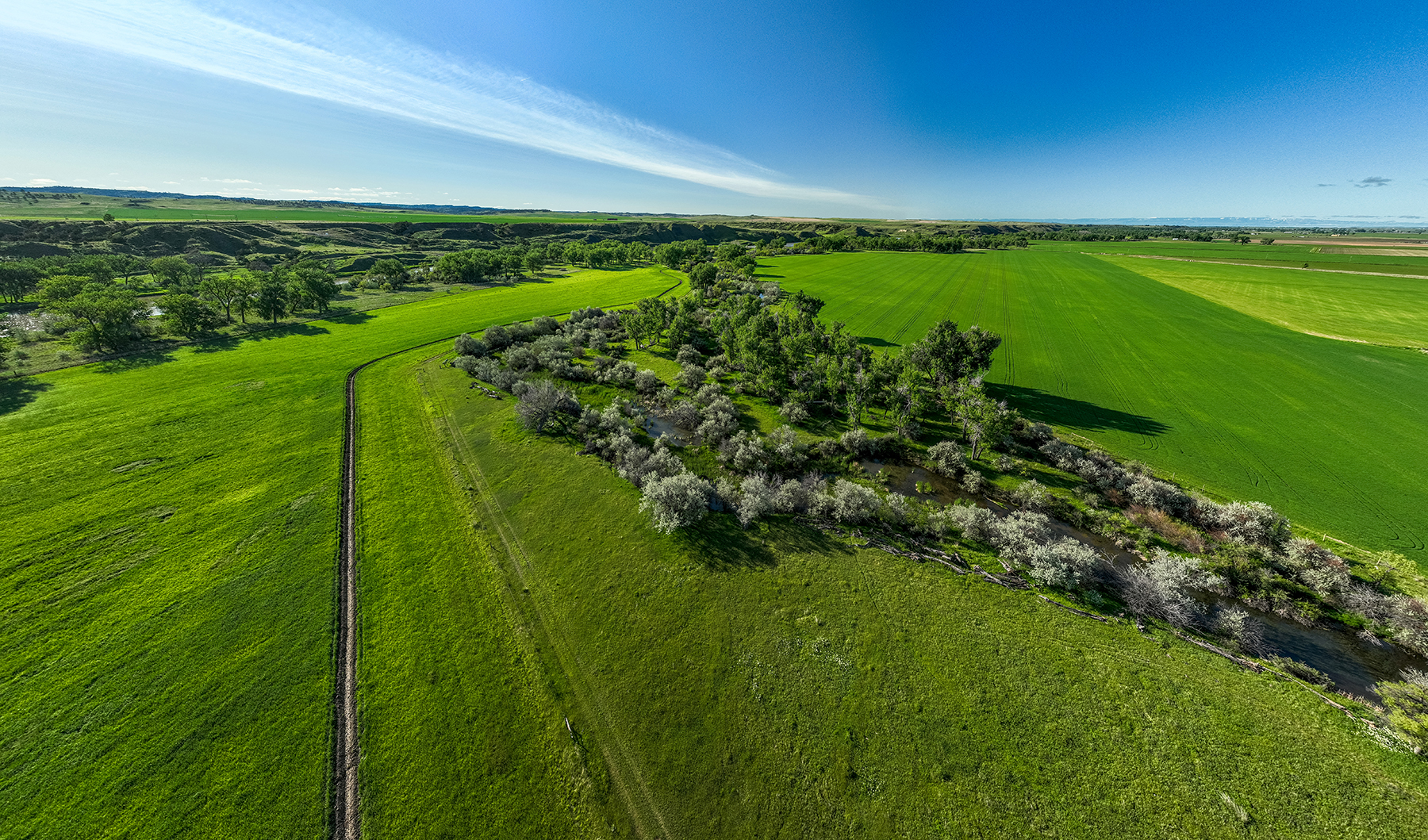 Dudis Farm property picture 3 of 34