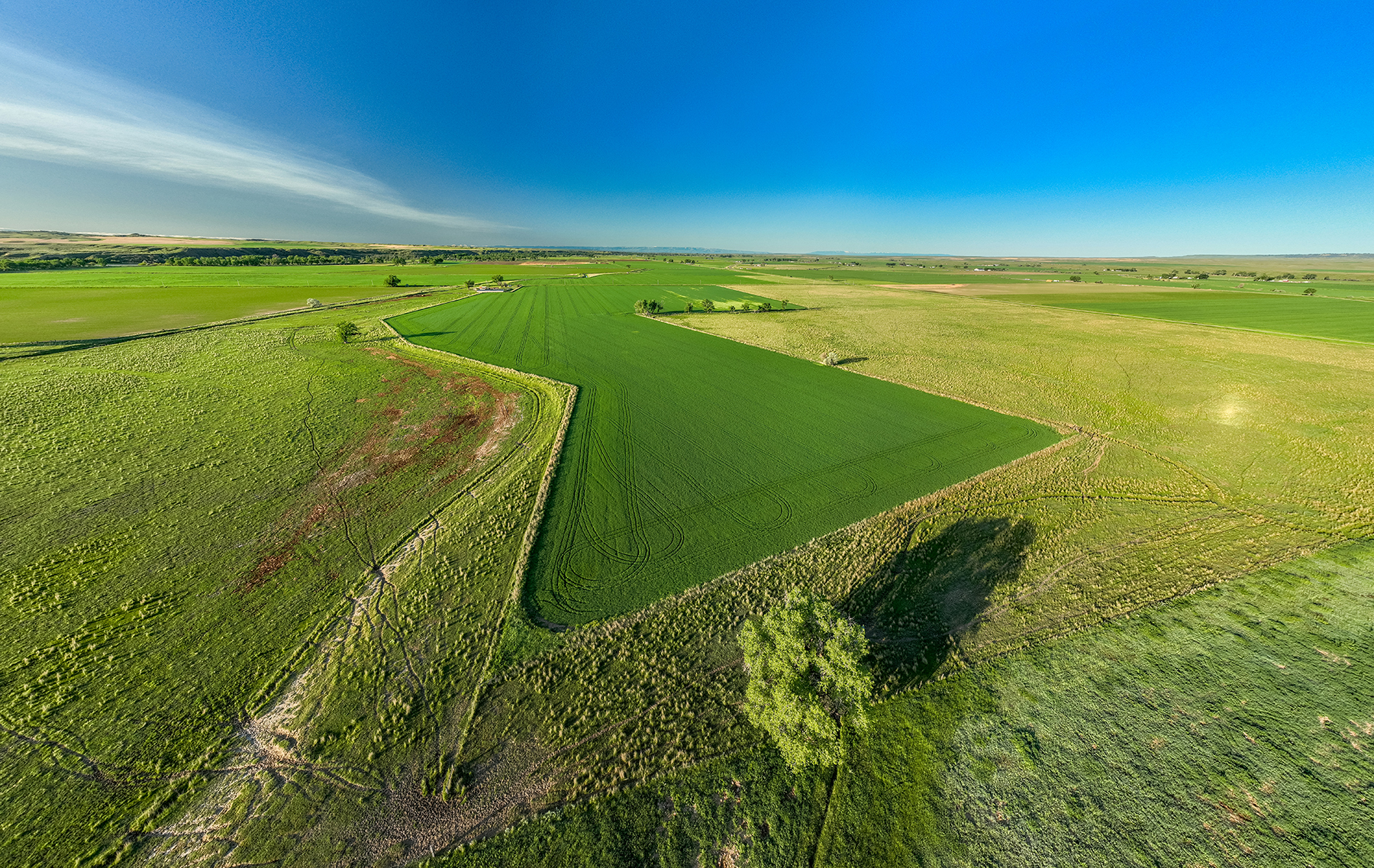 Dudis Farm property picture 27 of 34