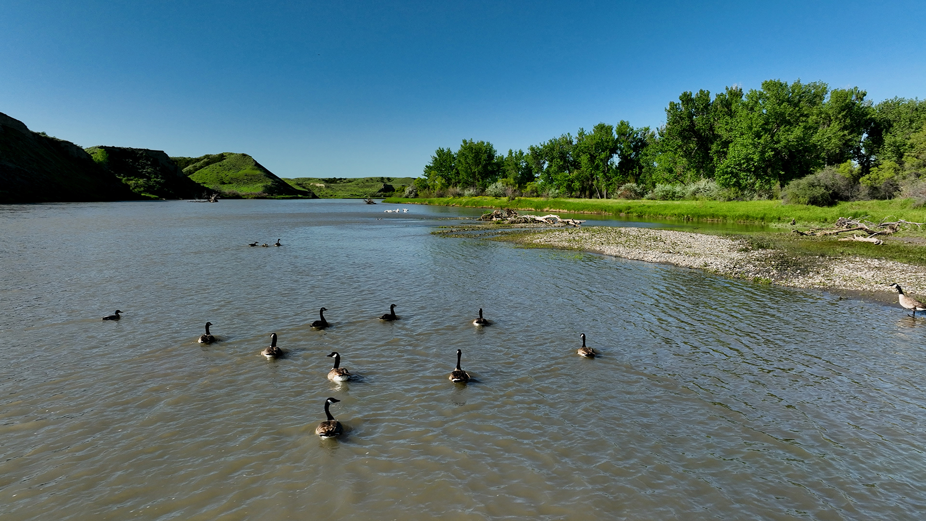 Dudis Farm property picture 9 of 34