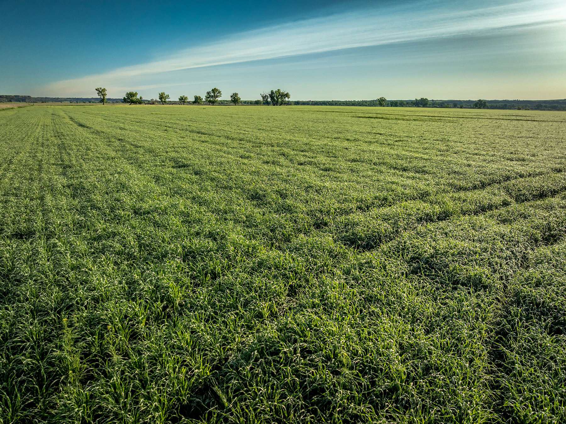 Dudis Farm property picture 28 of 34