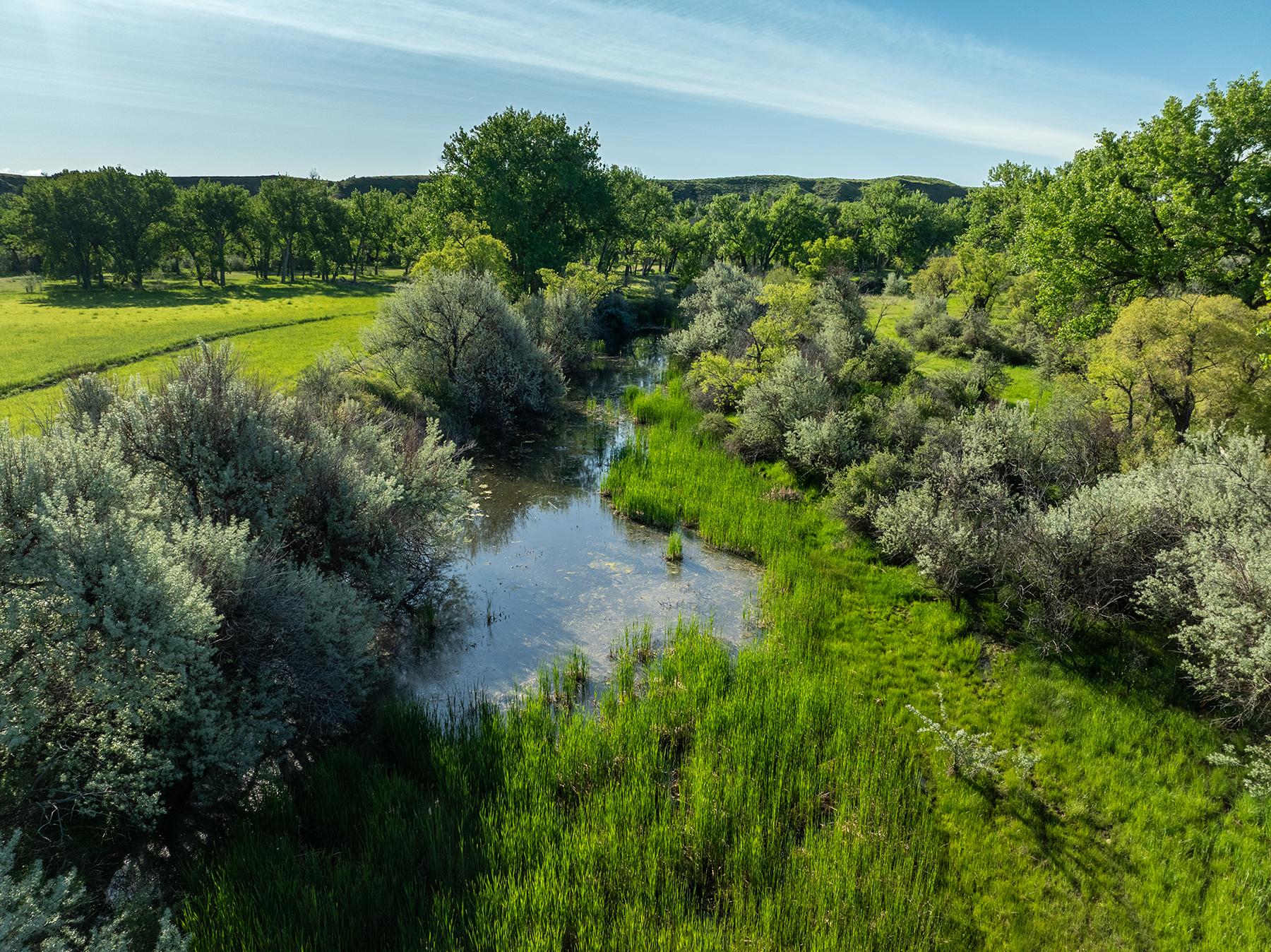 Dudis Farm property picture 6 of 34