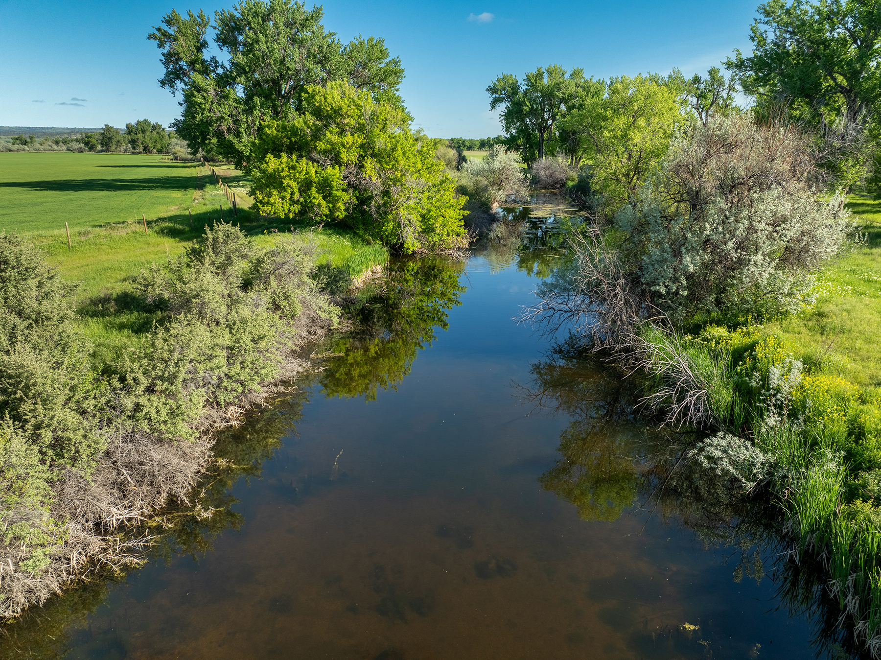 Dudis Farm property picture 33 of 34